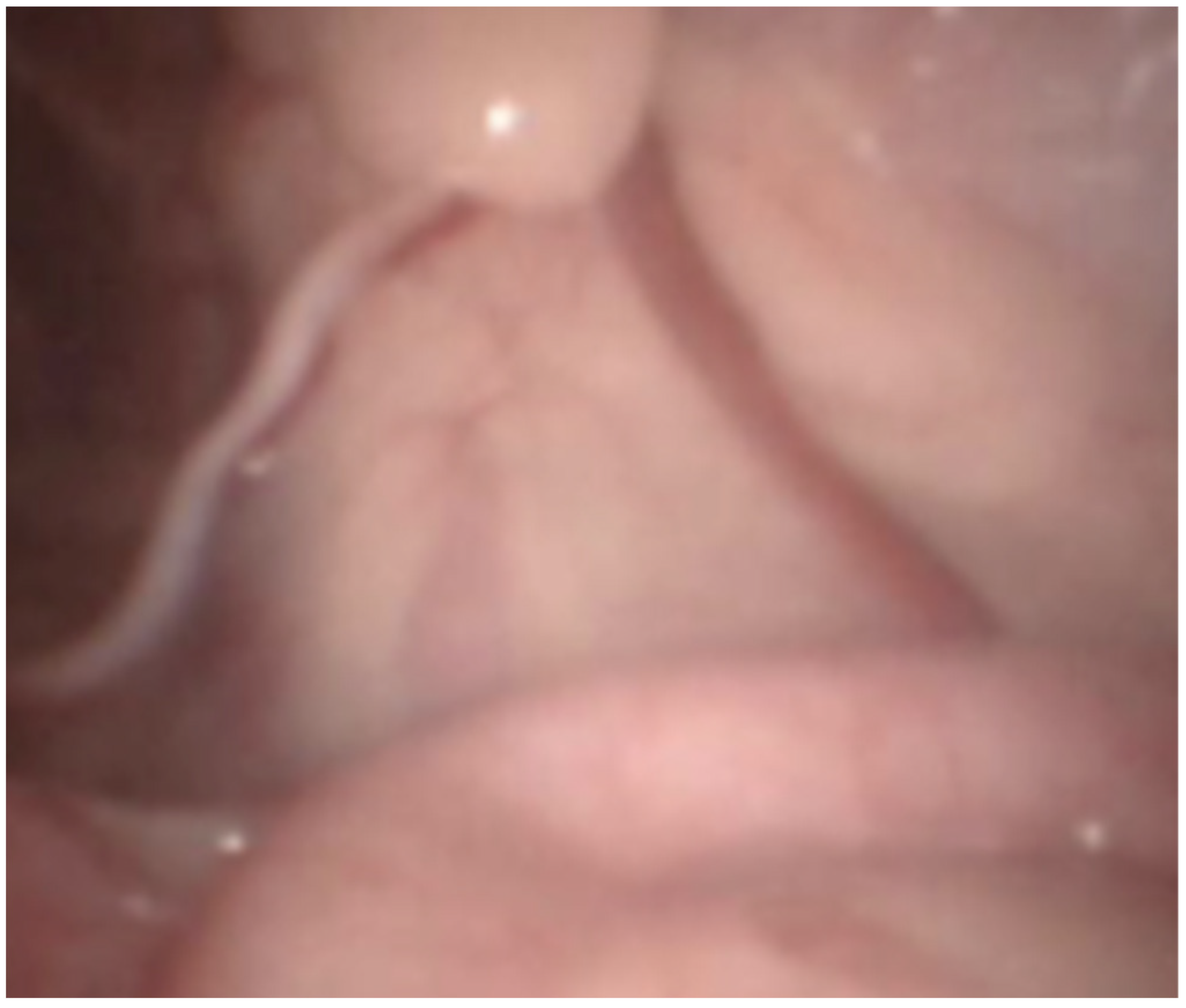 Animals 11 03041 g001 550