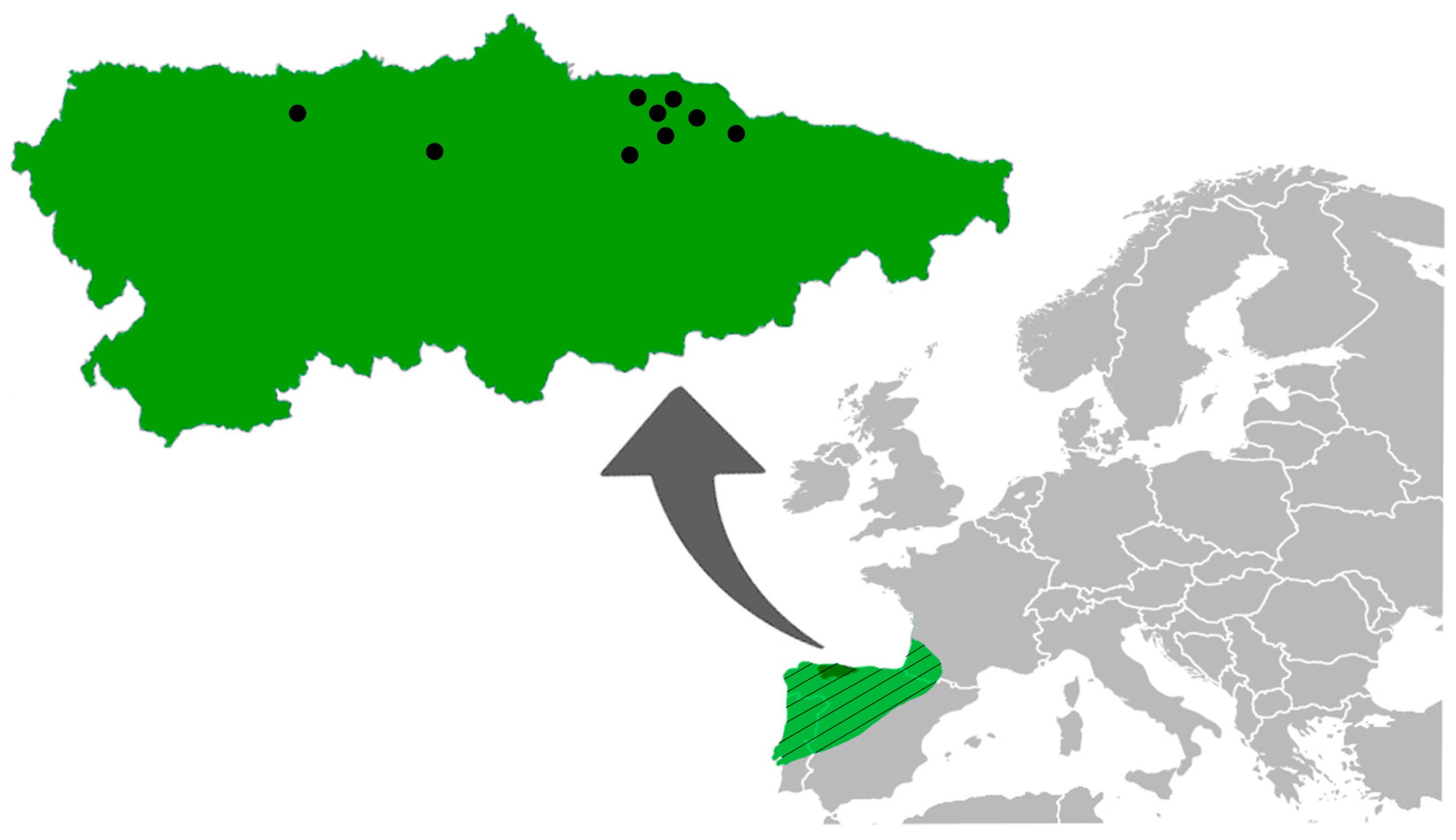 Animals 11 03055 g001