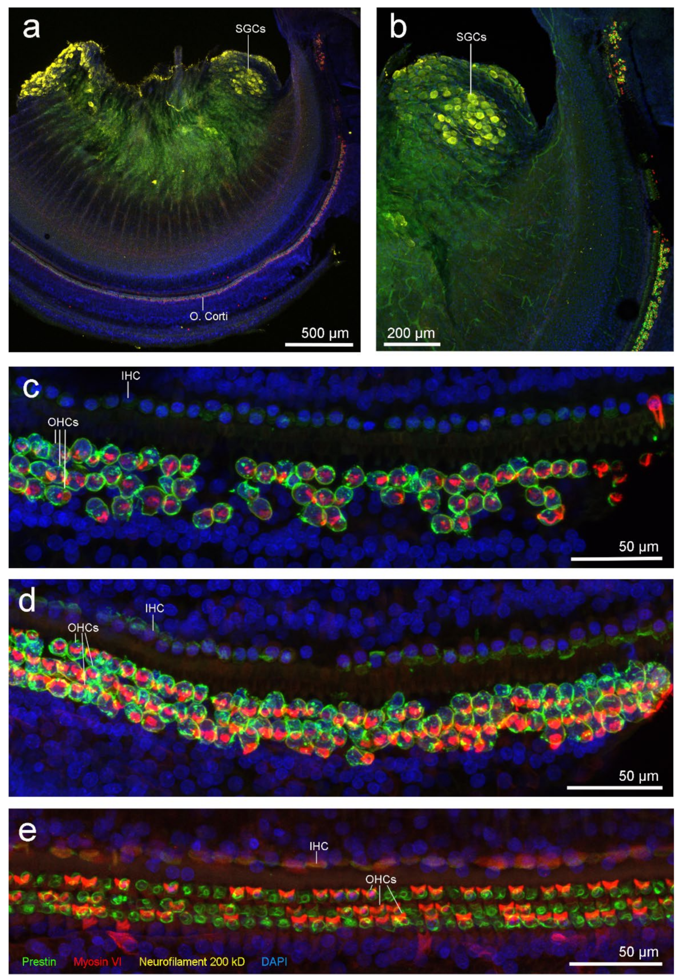 Animals 11 03058 g003