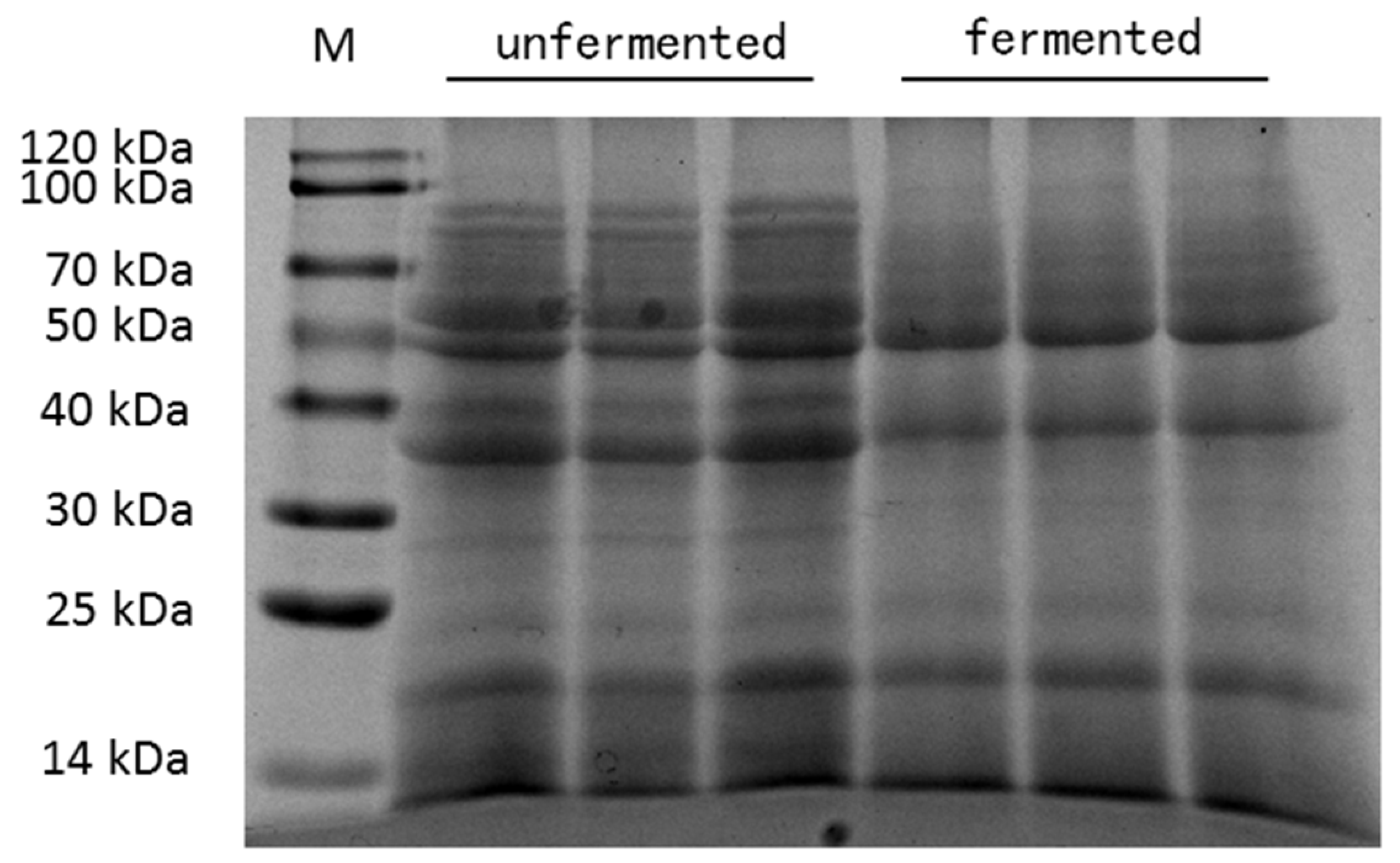 Animals 11 03059 g001