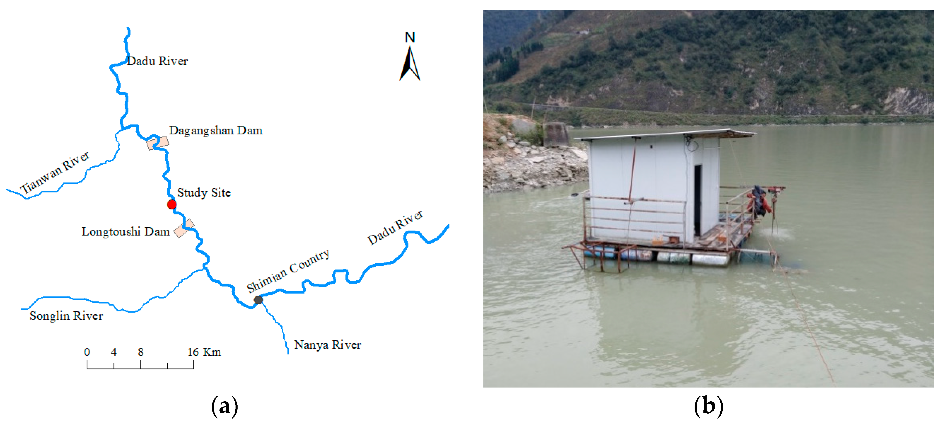 Animals 11 03061 g001