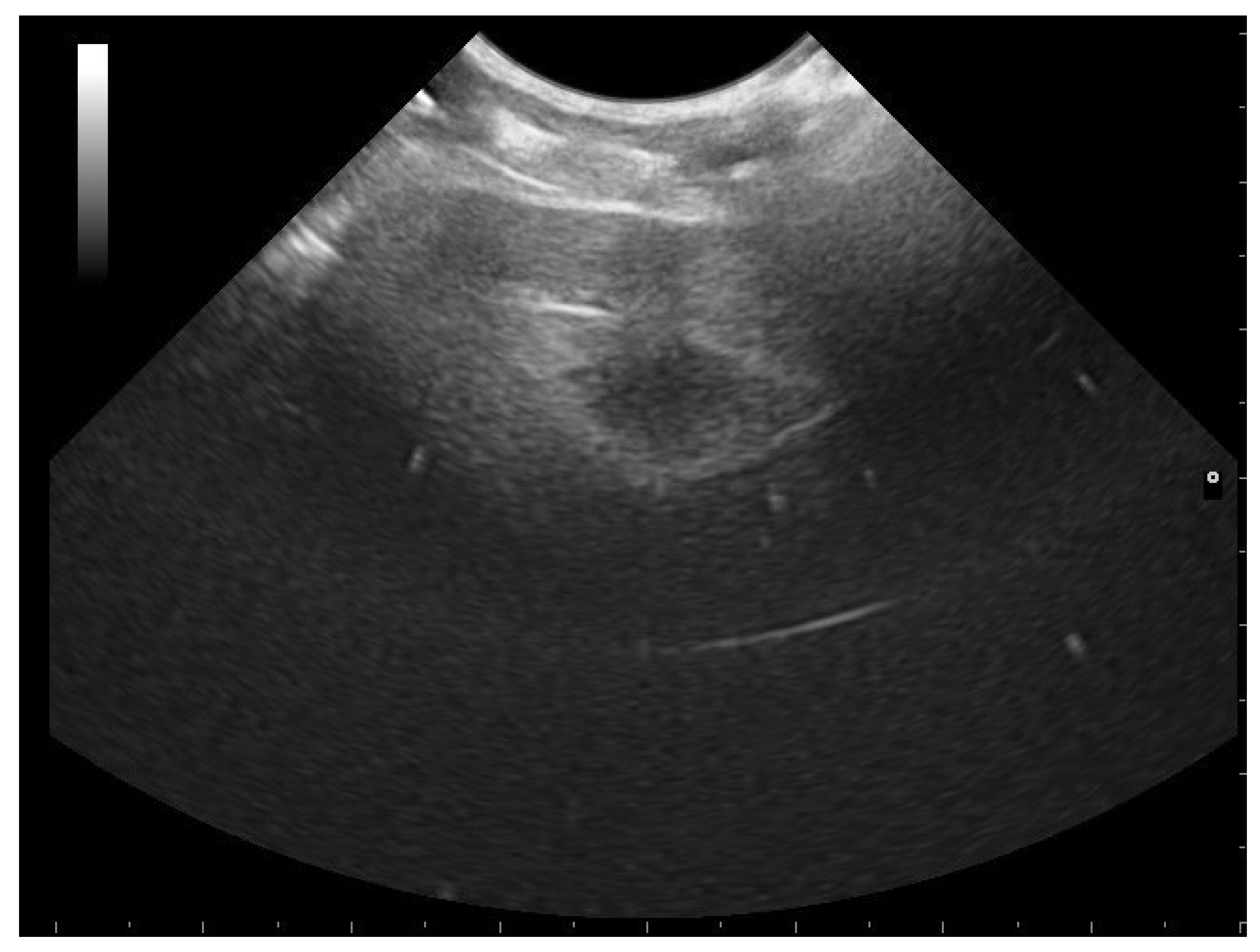 Animals 11 03069 g006 Animals 11 03069 g006