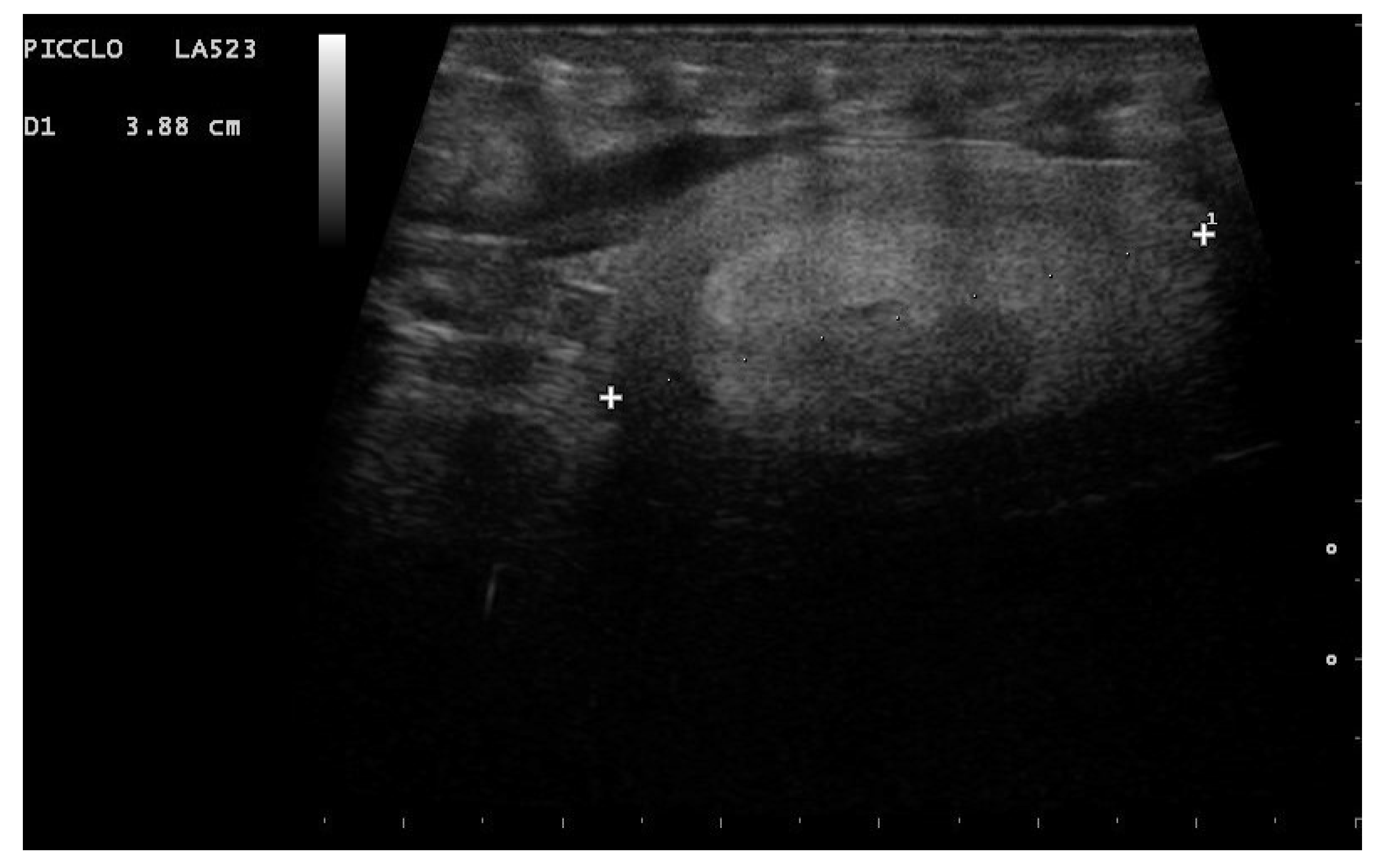 Animals 11 03069 g007 Animals 11 03069 g007