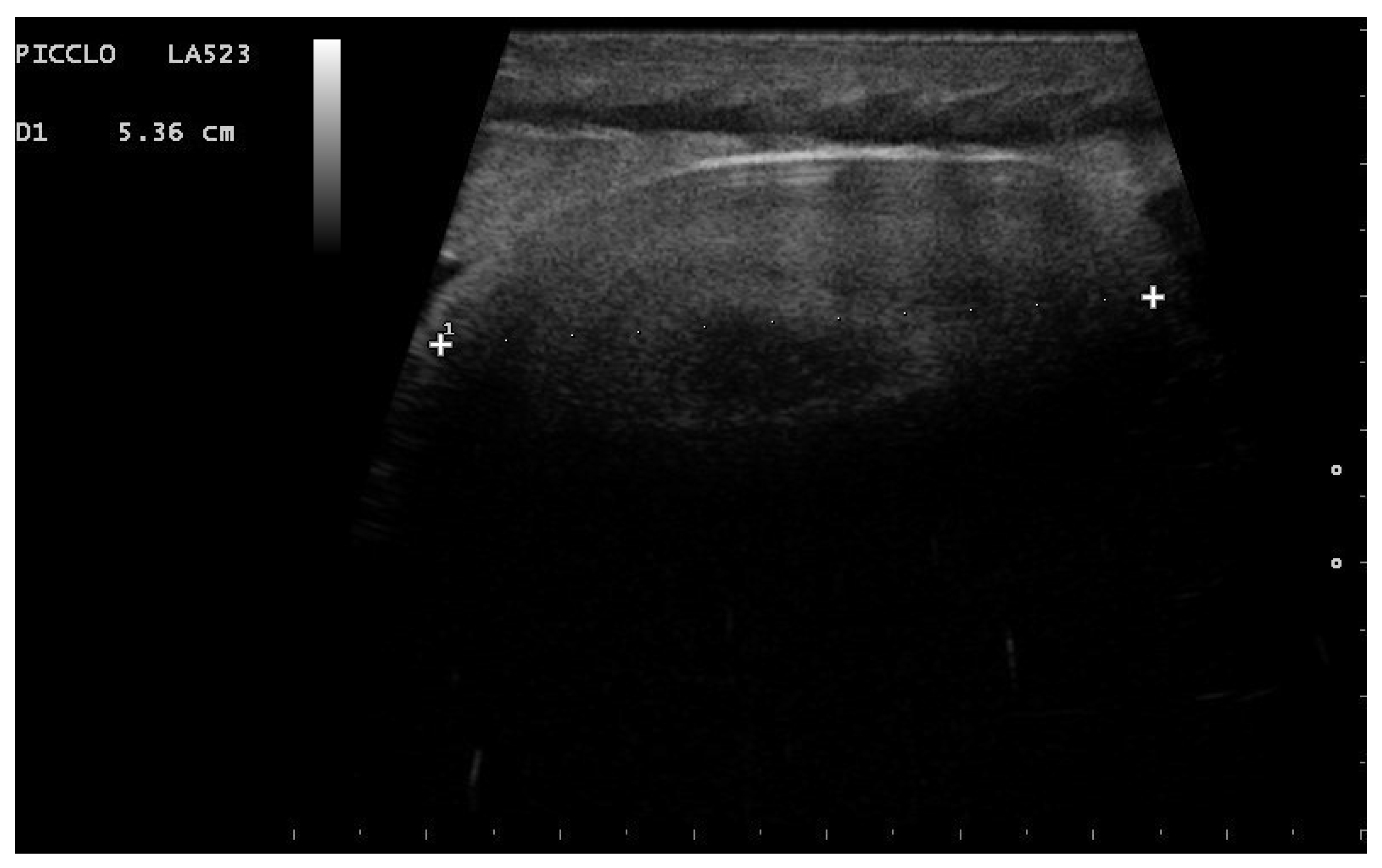 Animals 11 03069 g008 Animals 11 03069 g008