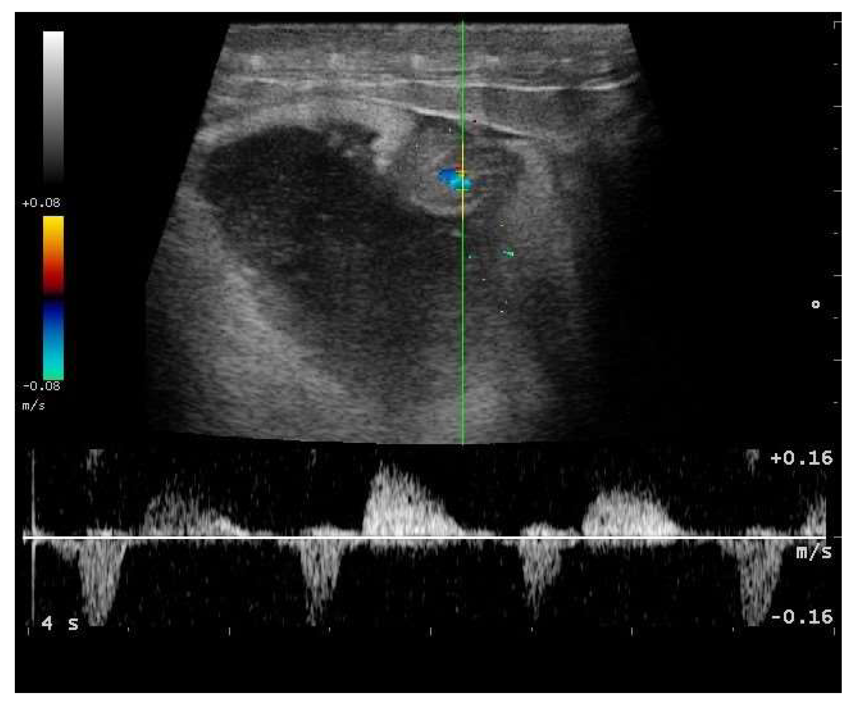 Animals 11 03069 g012 Animals 11 03069 g012