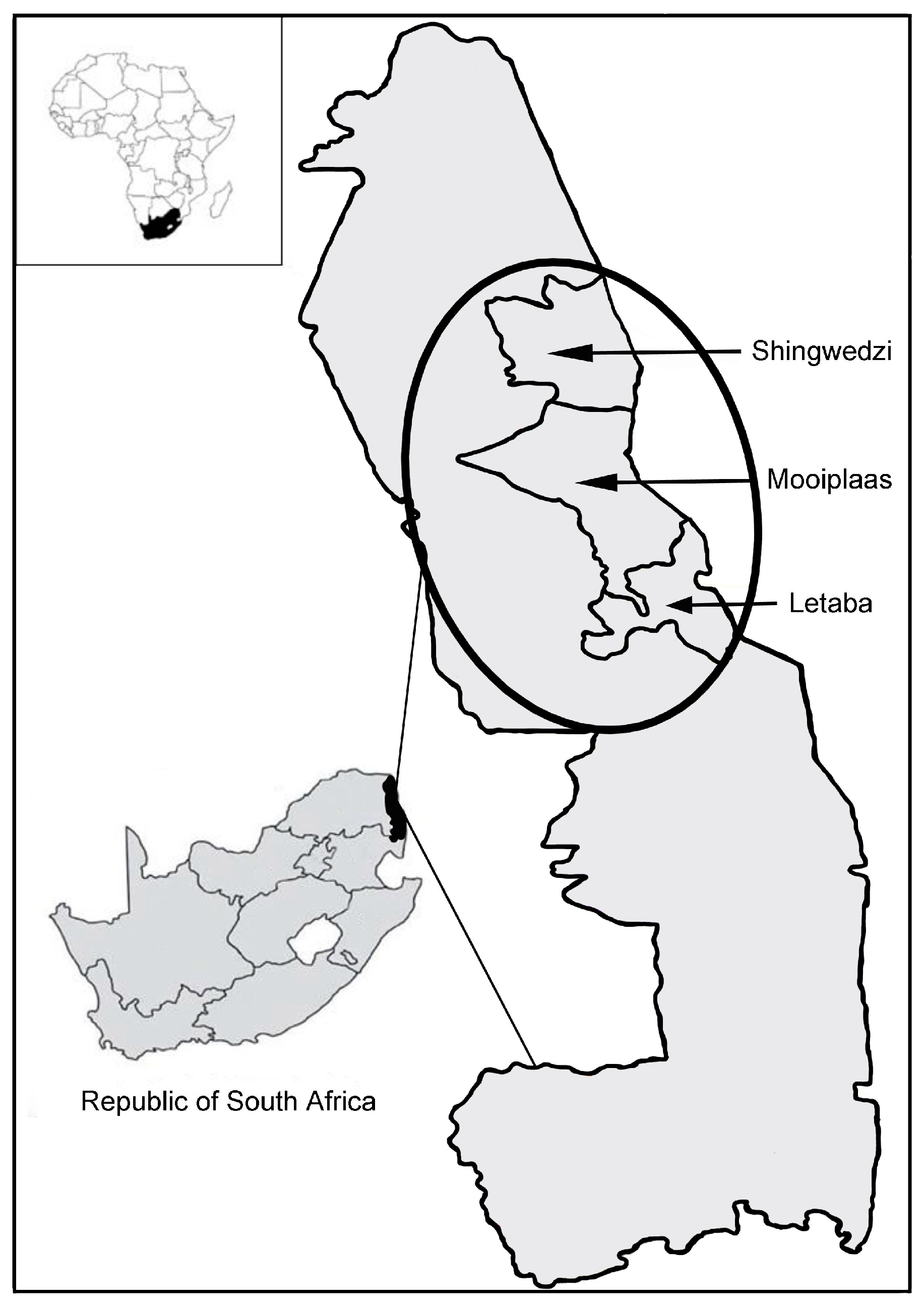 Animals 11 03070 g001