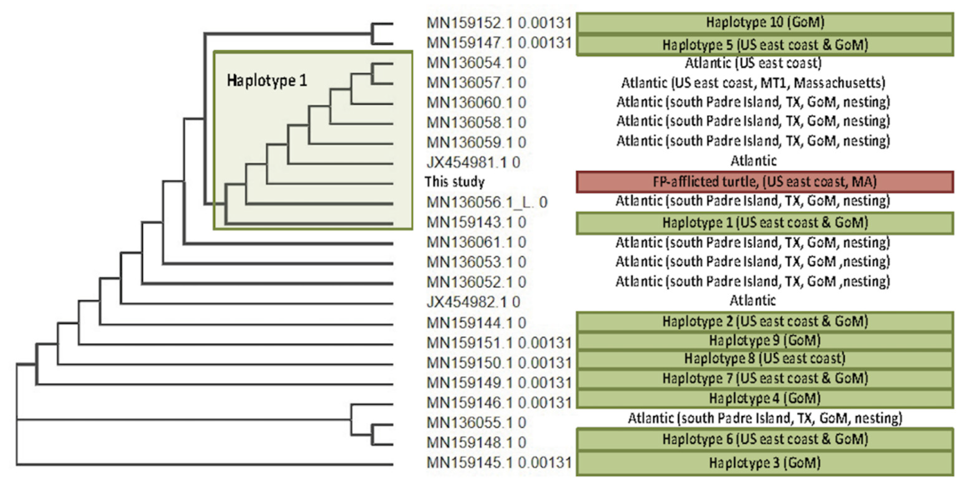 Animals 11 03076 g004 Animals 11 03076 g004