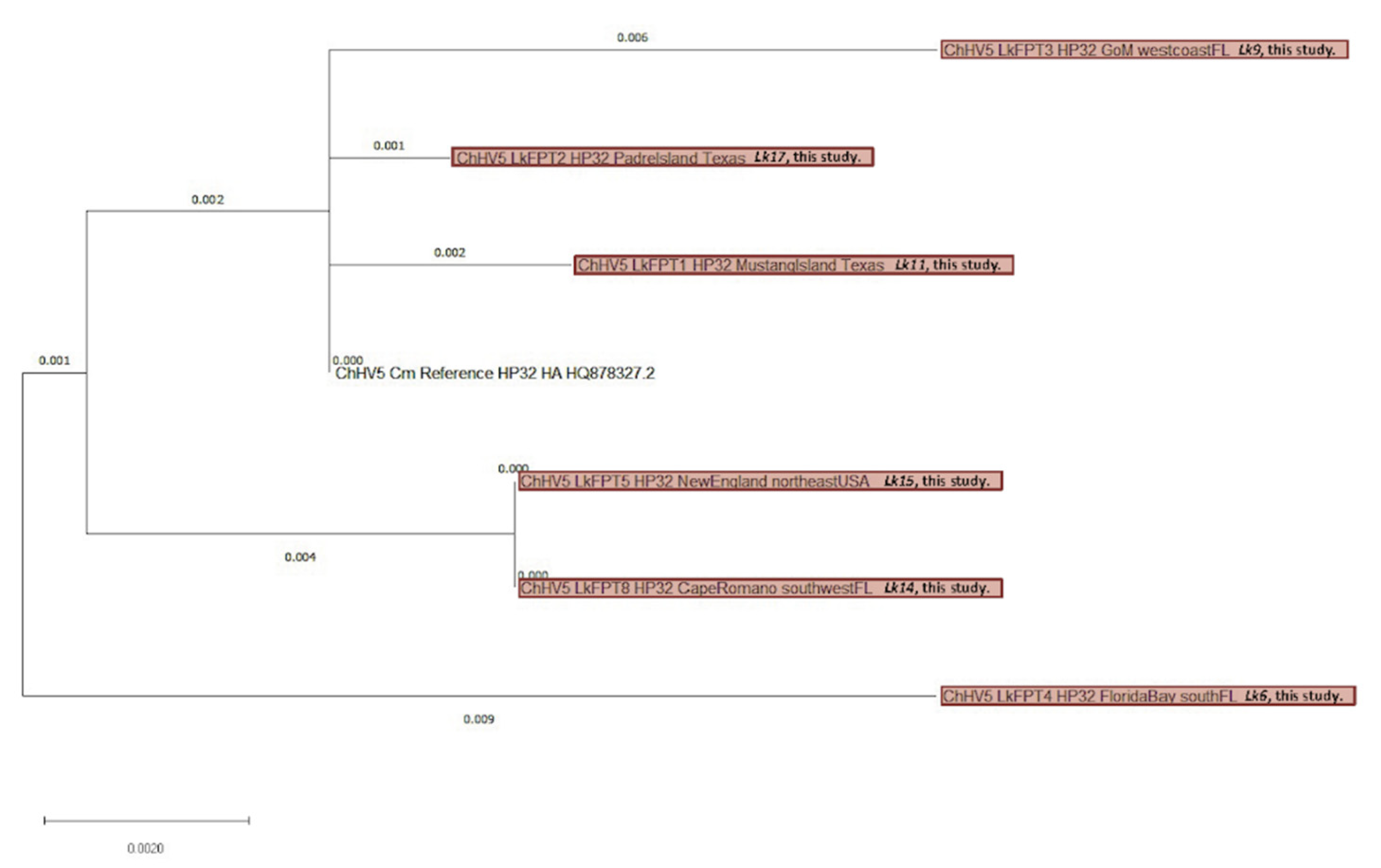 Animals 11 03076 g008 Animals 11 03076 g008