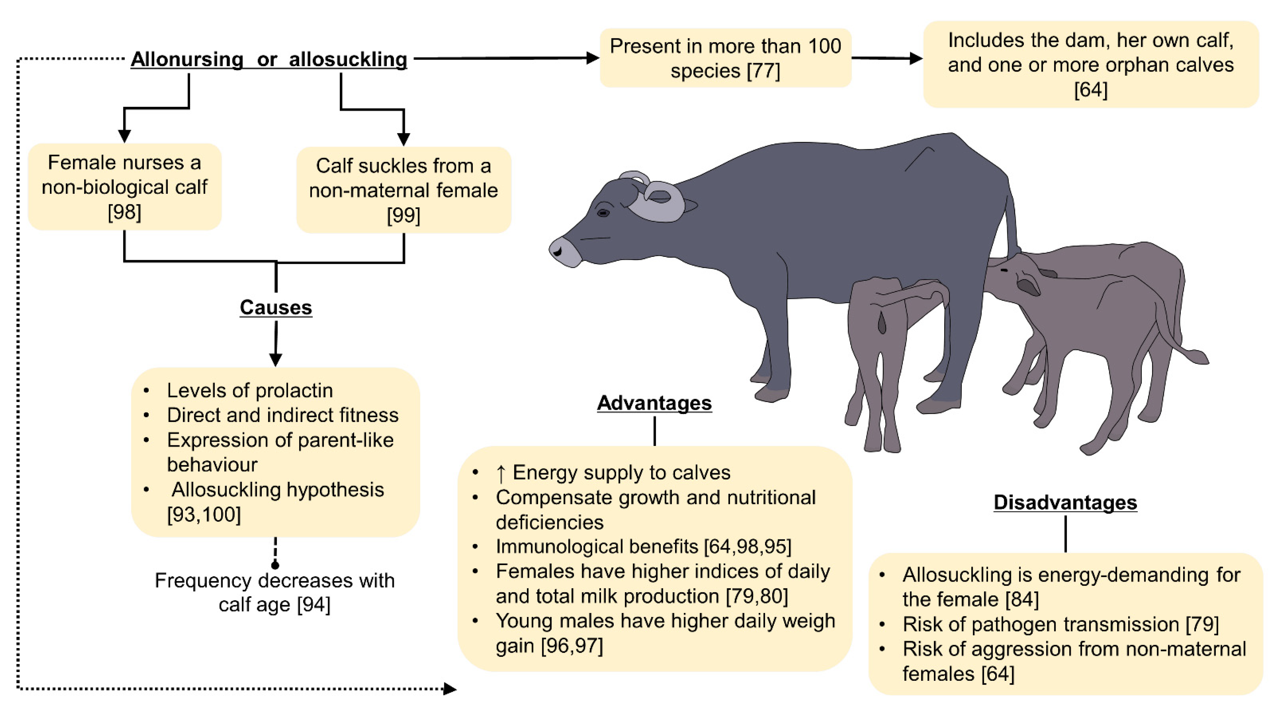 Animals | Free Full-Text | Allonursing in Wild and Farm Animals: Biological and Physiological Foundations and Explanatory Hypotheses Animals | Free Full-Text | Allonursing in Wild and Farm Animals: Biological and Physiological Foundations and Explanatory Hypotheses