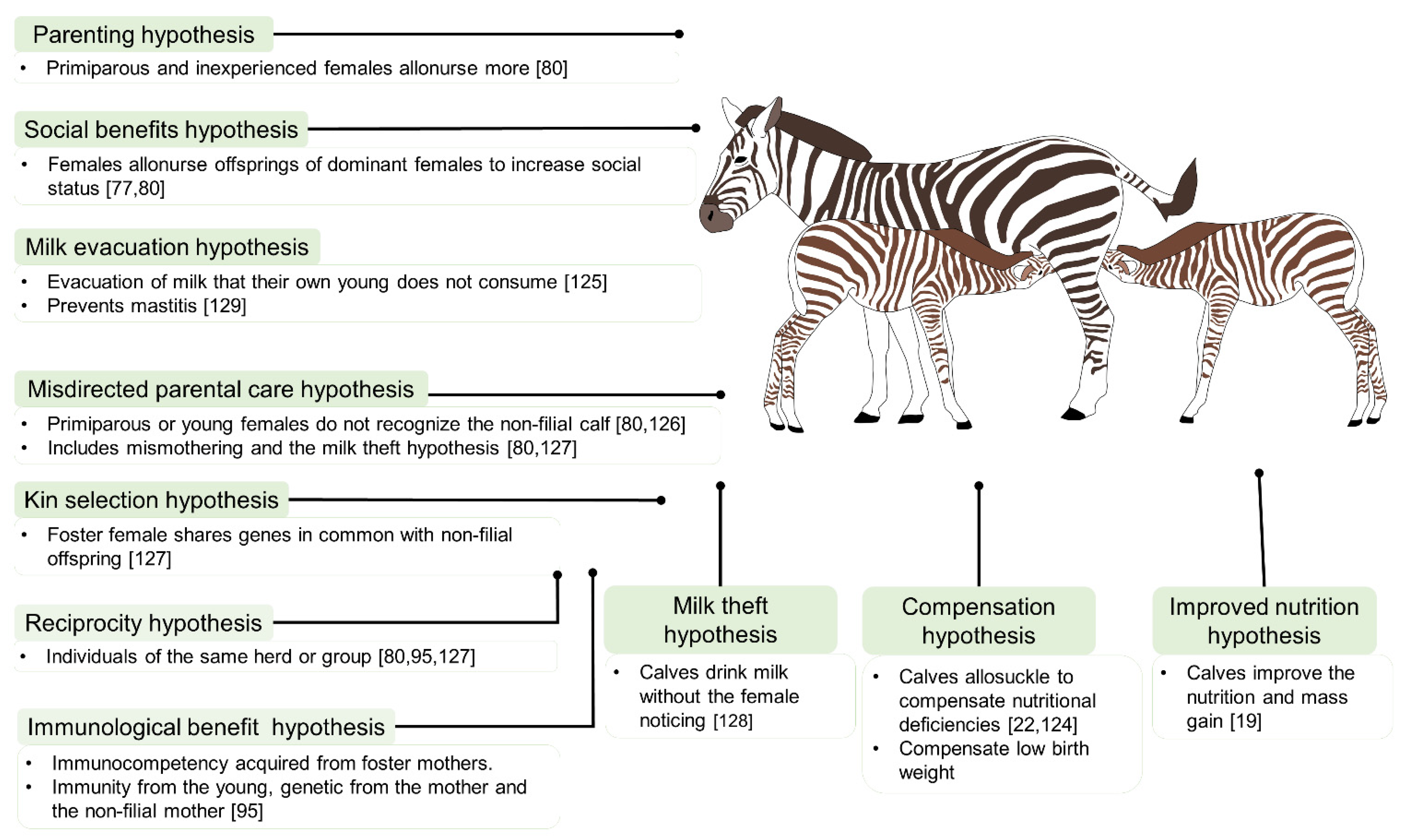 Animals | Free Full-Text | Allonursing in Wild and Farm Animals: Biological and Physiological Foundations and Explanatory Hypotheses Animals | Free Full-Text | Allonursing in Wild and Farm Animals: Biological and Physiological Foundations and Explanatory Hypotheses