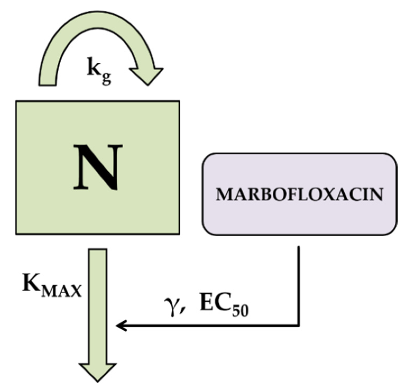 Animals 11 03098 g002