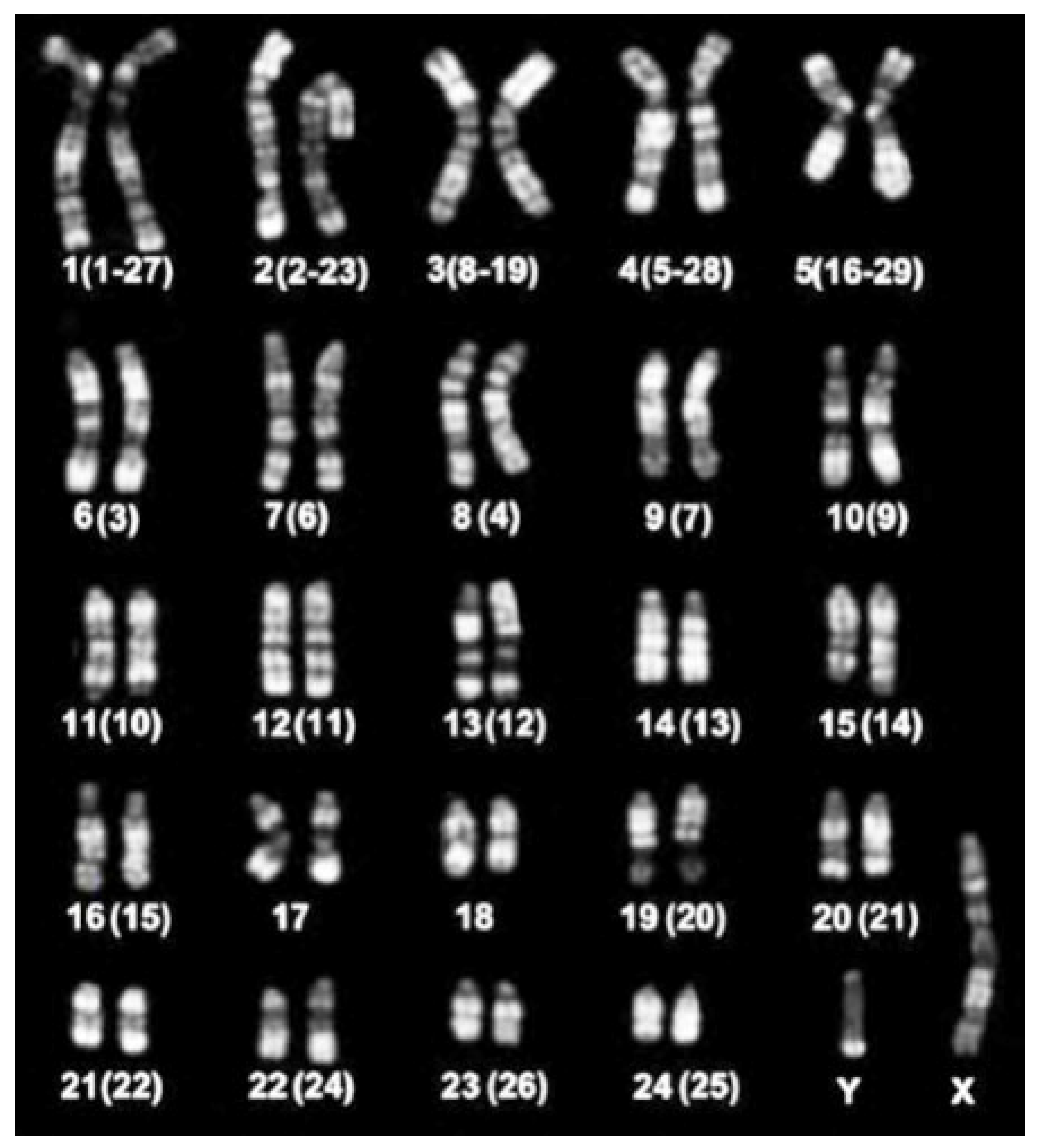 Animals 11 03109 g005 Animals 11 03109 g005