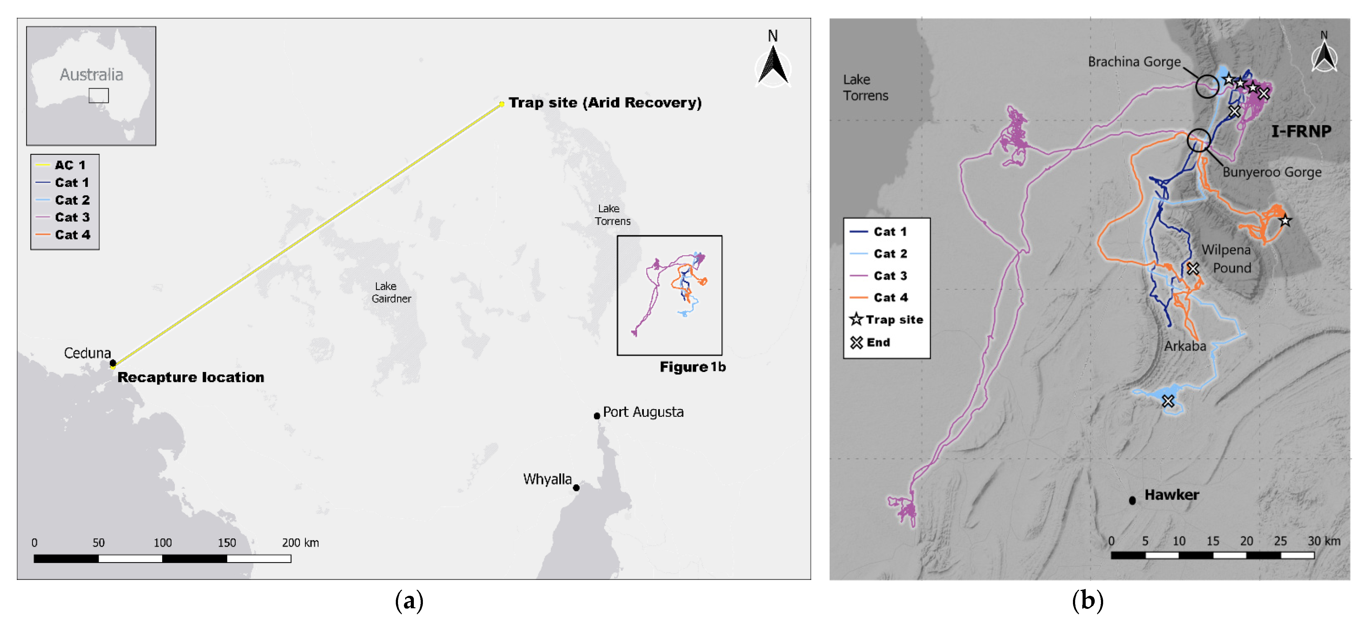 Animals 11 03125 g001