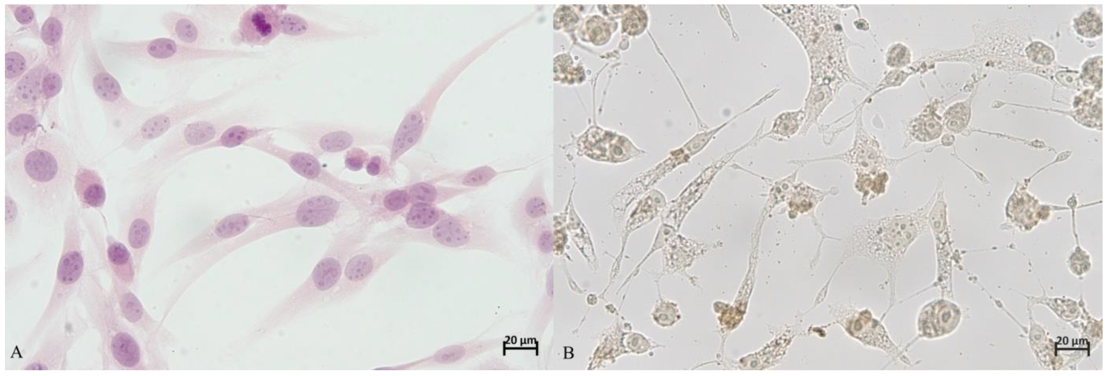 Animals 11 03135 g001 550