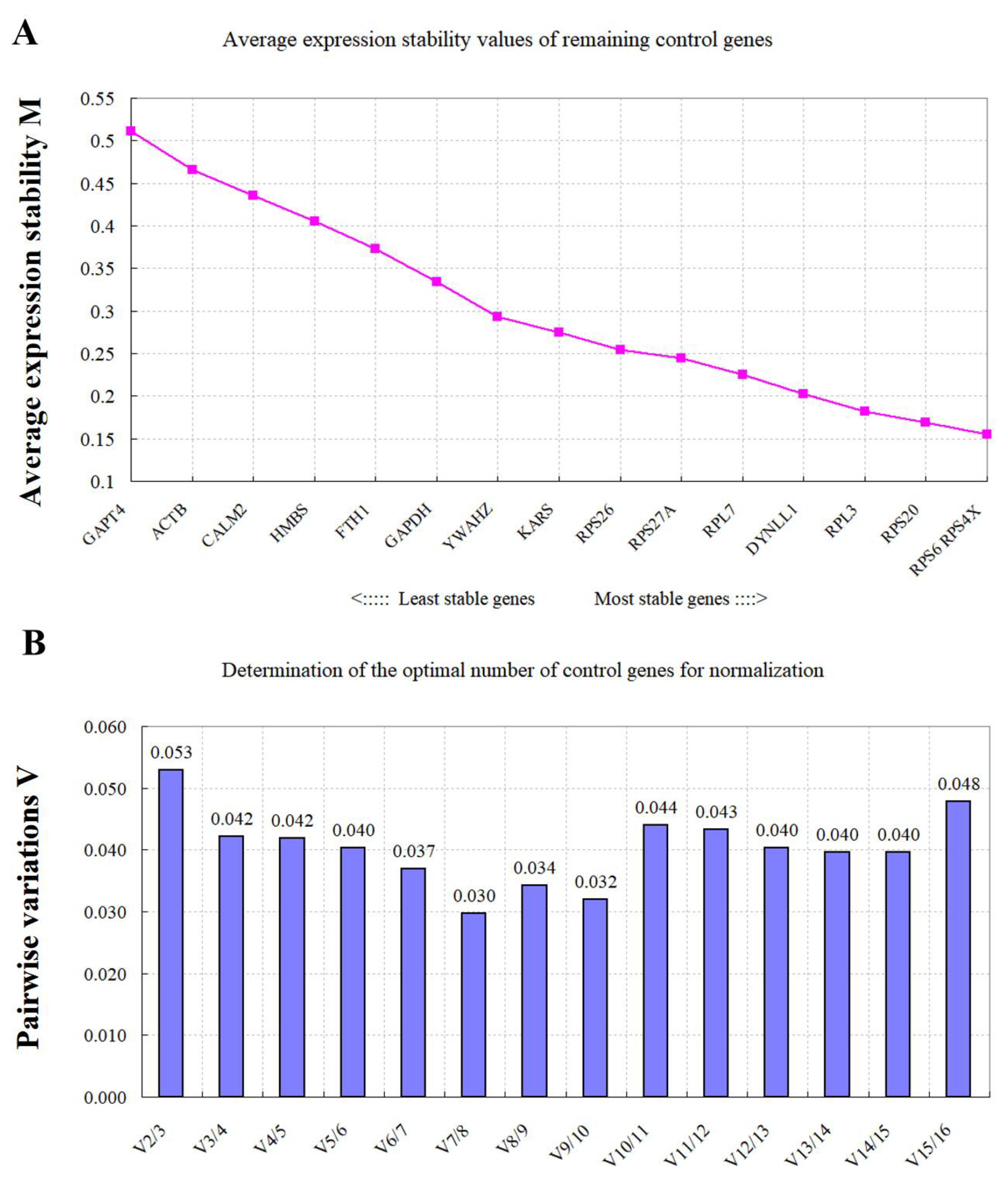 Animals 11 03137 g002