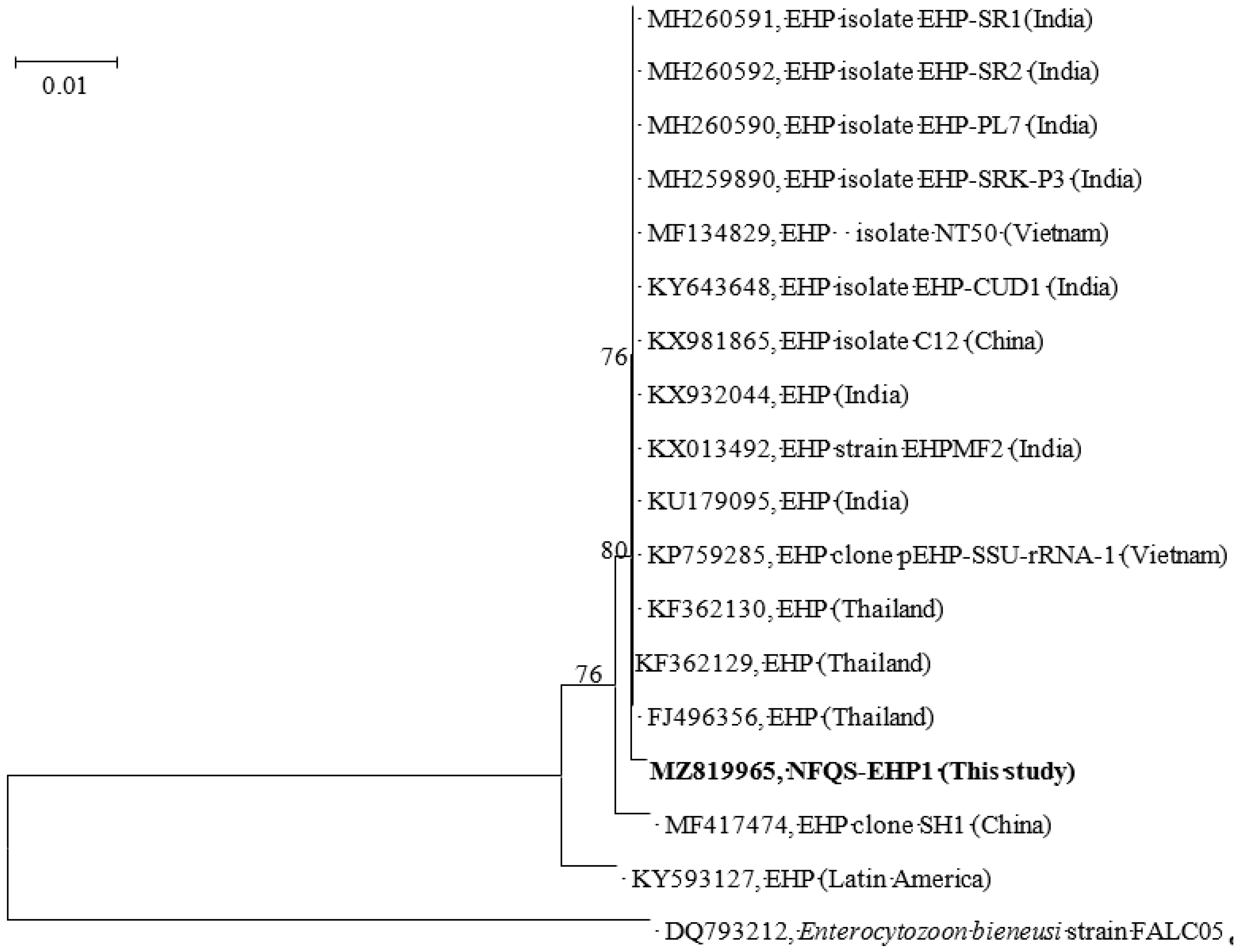 Animals 11 03150 g002