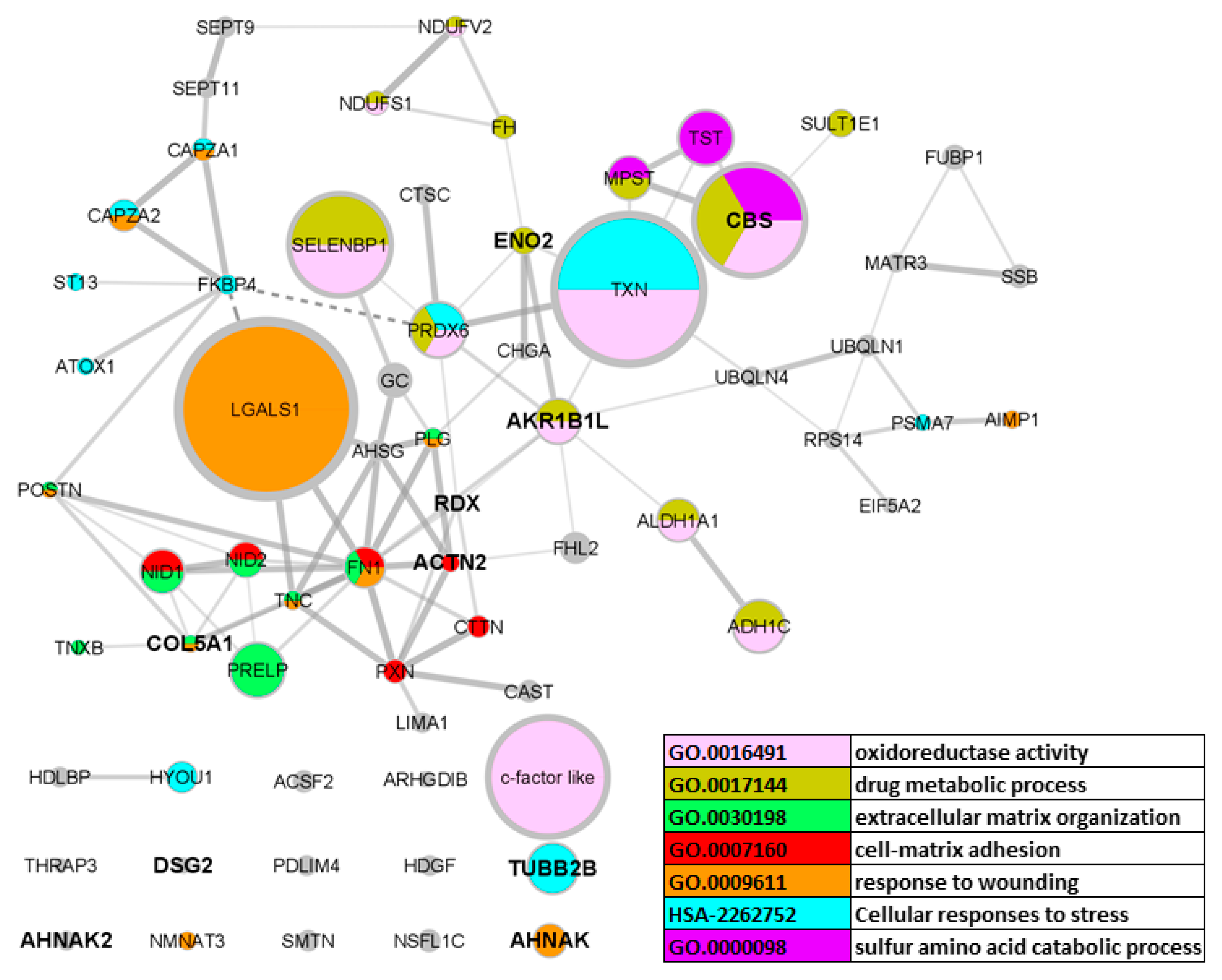 Animals 11 03155 g002 550
