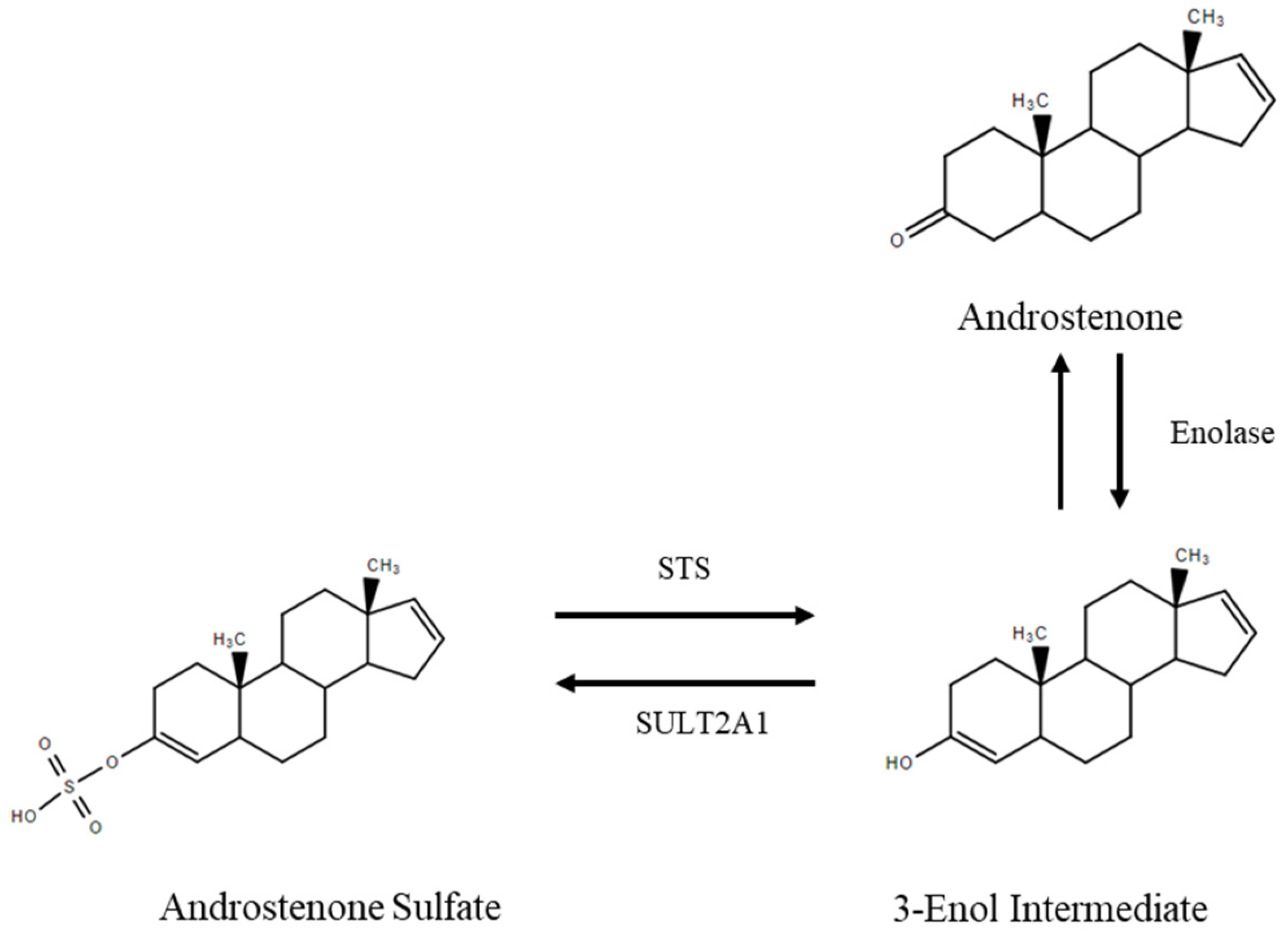 Animals 11 03158 g006