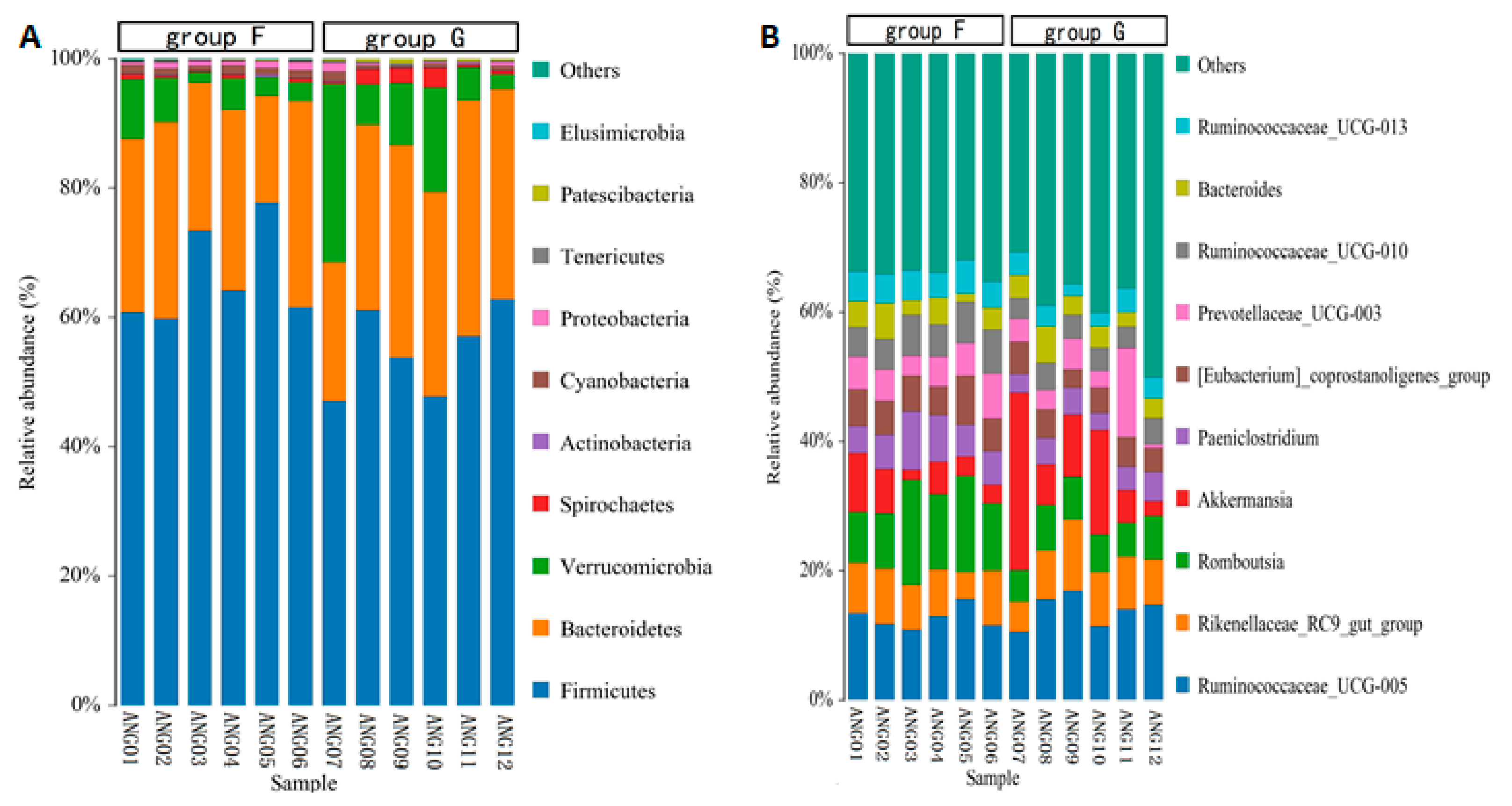 Animals 11 03167 g004