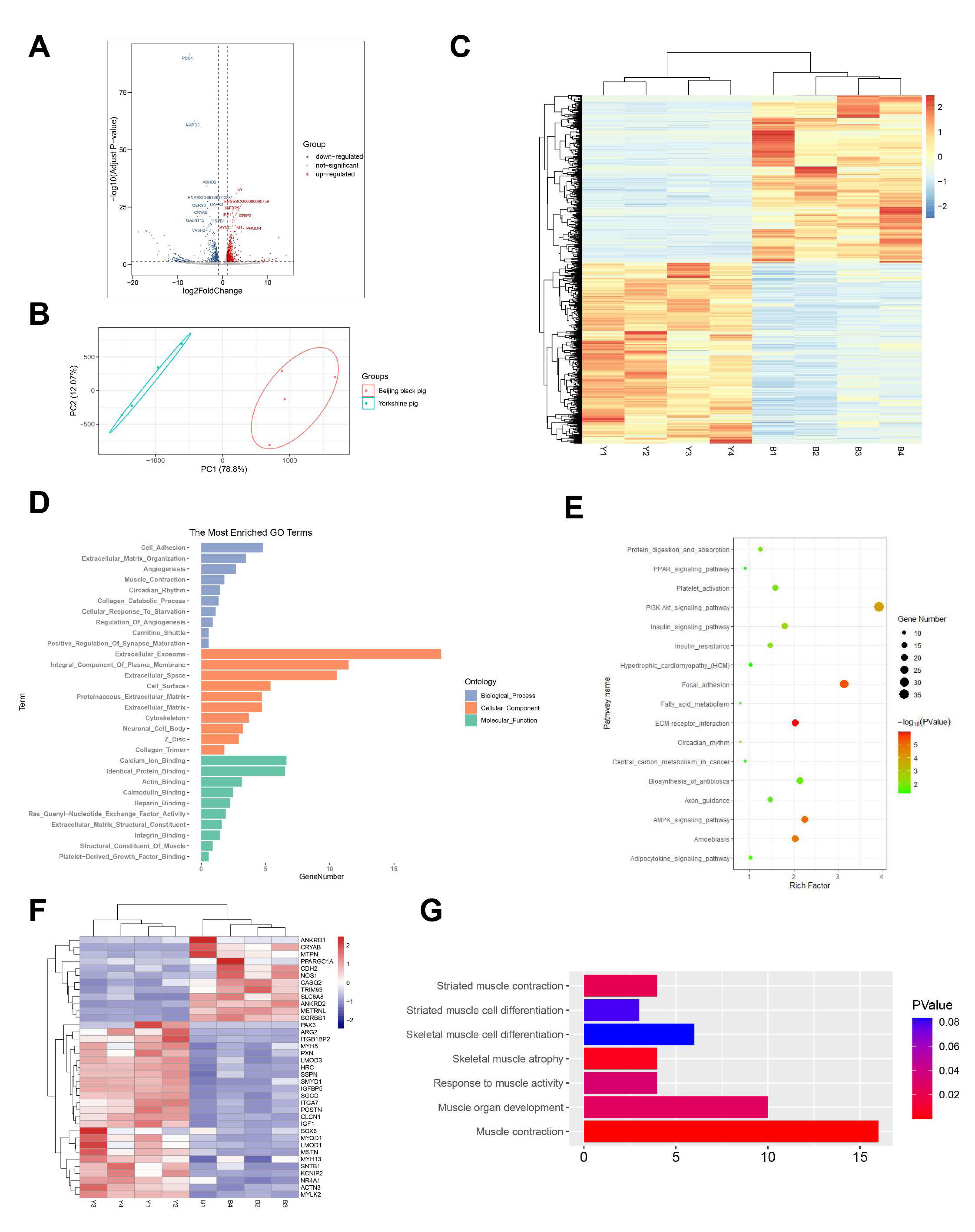 Animals 11 03169 g001 Animals 11 03169 g001