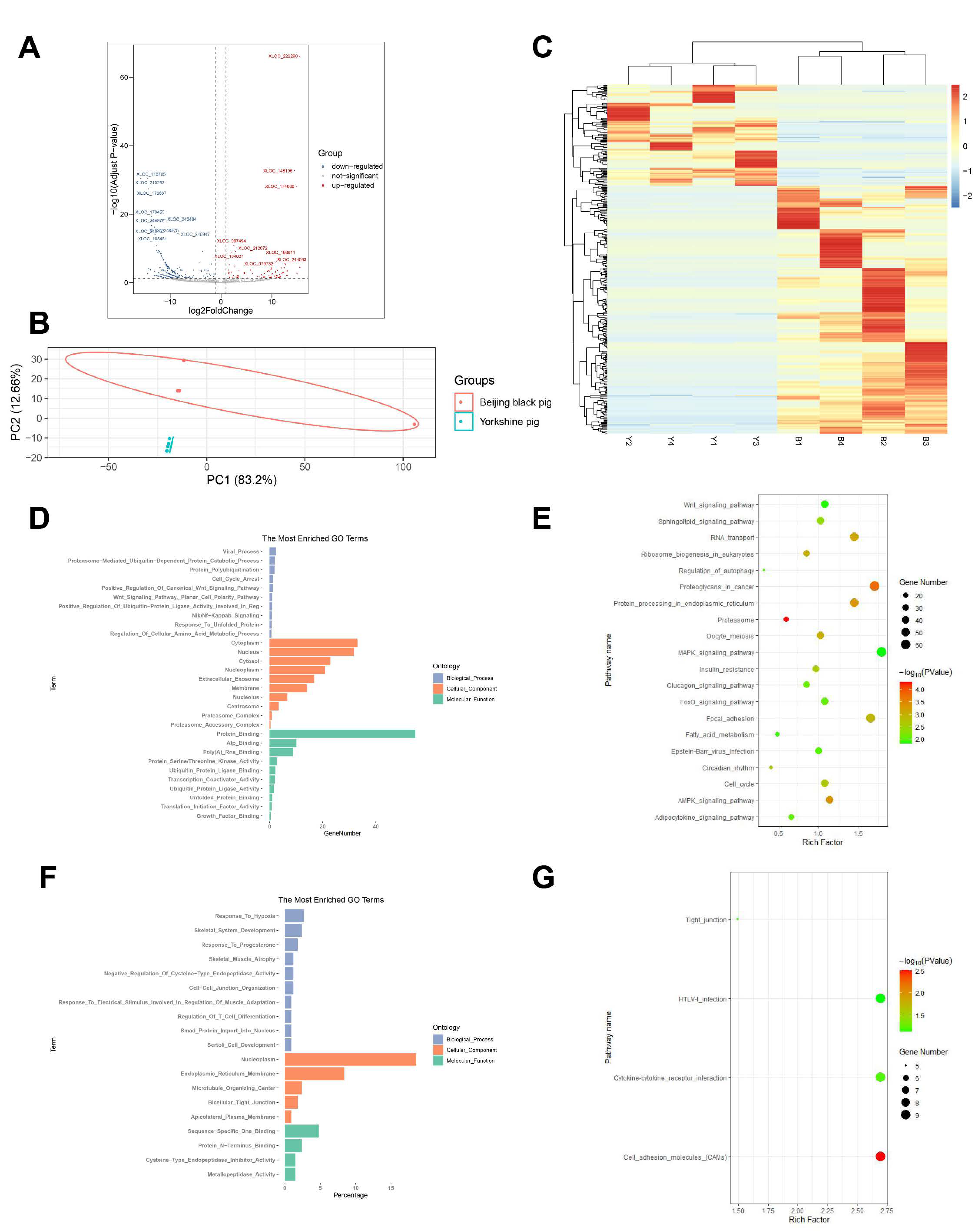 Animals 11 03169 g002 Animals 11 03169 g002