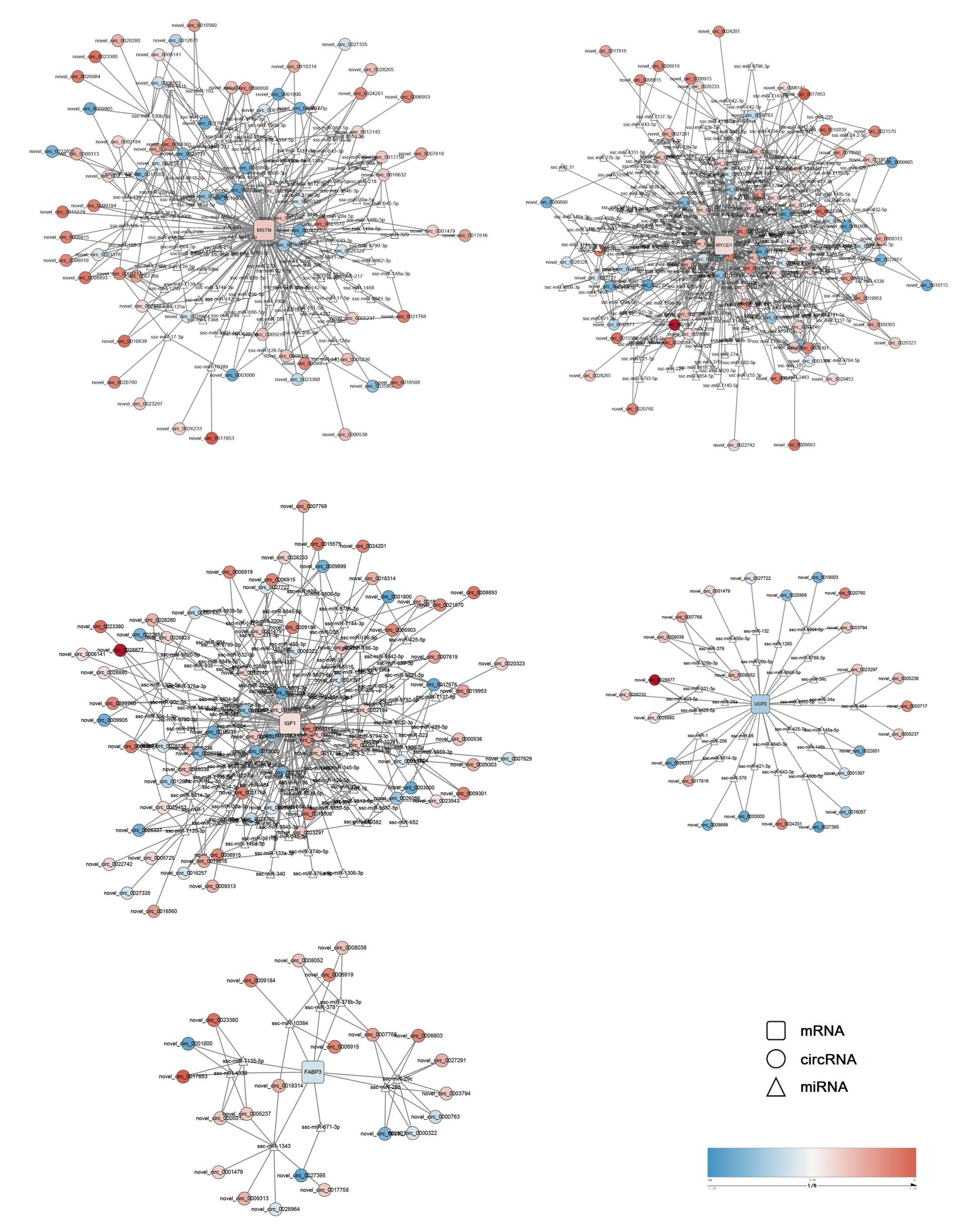 Animals 11 03169 g004 Animals 11 03169 g004