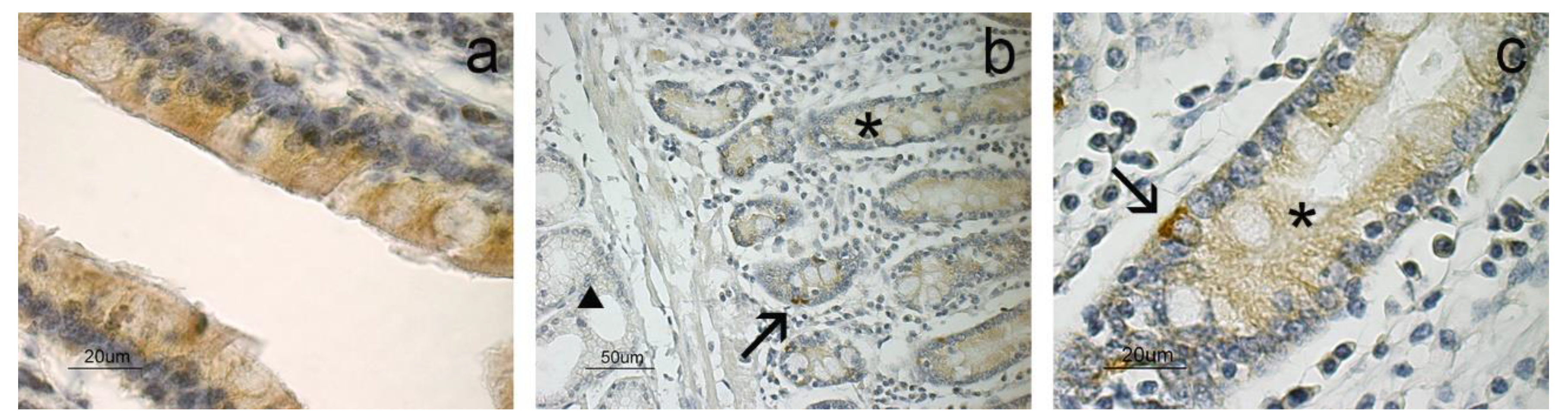 Animals 11 03173 g002