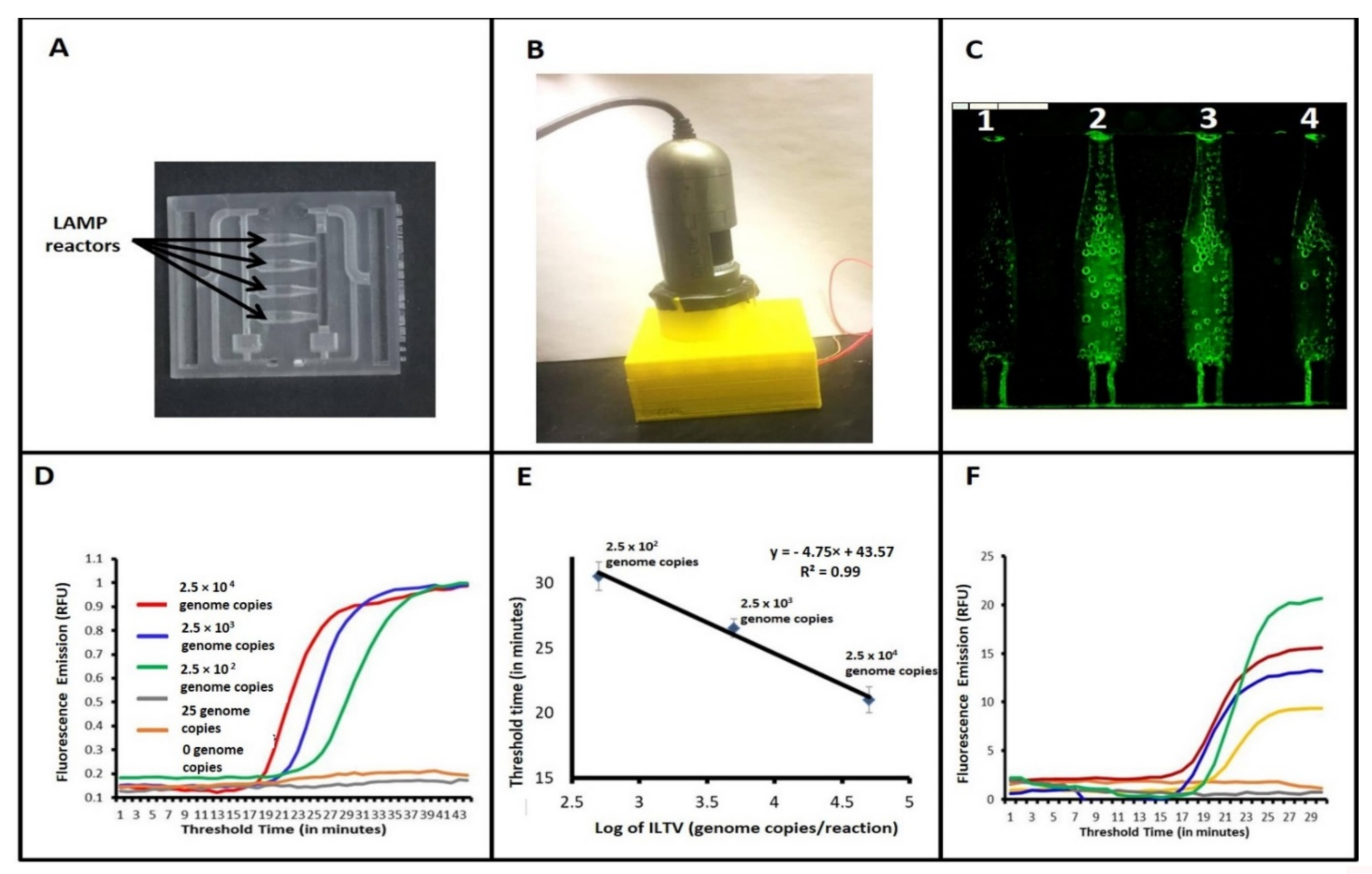 Animals 11 03203 g002