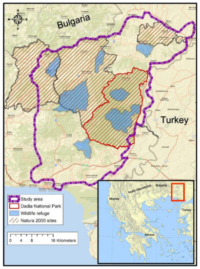 Animals Free Full Text Wolf Hunting Dog Interactions In A Biodiversity Hot Spot Area In Northern Greece Preliminary Assessment And Implications For Conservation In The Dadia Lefkimi Soufli Forest National Park And Adjacent Areas