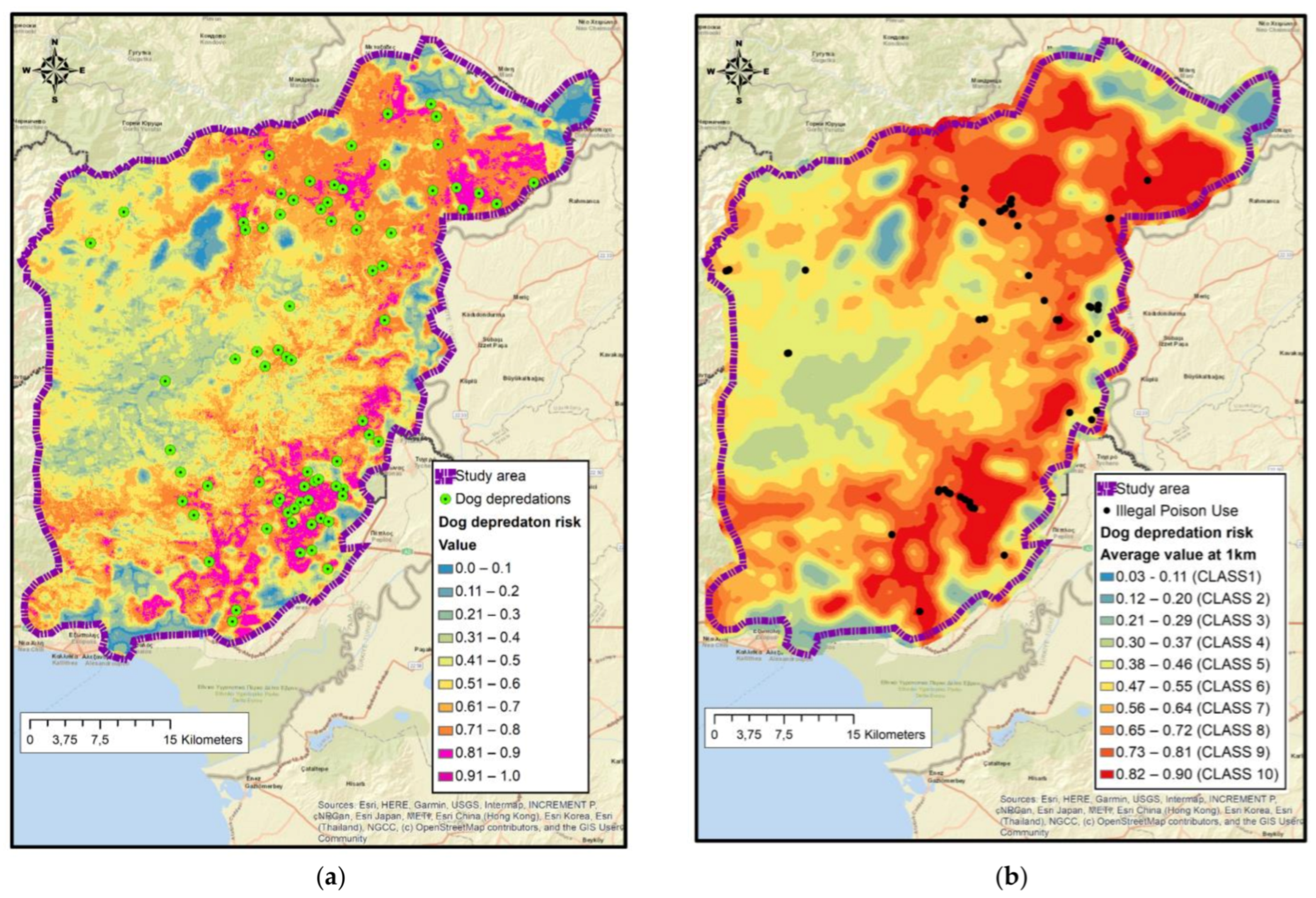 Animals 11 03235 g004