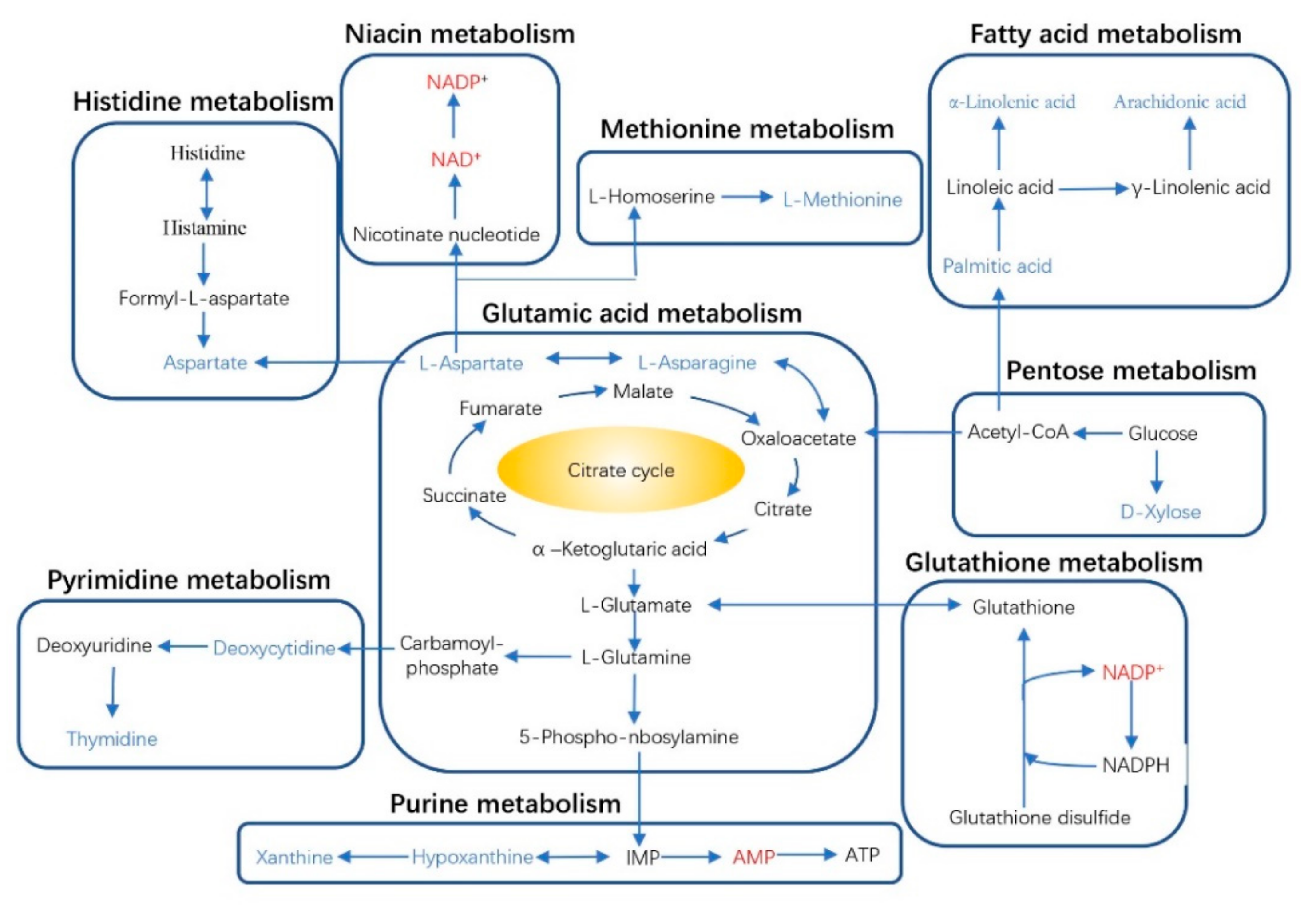 Animals 11 03236 g004