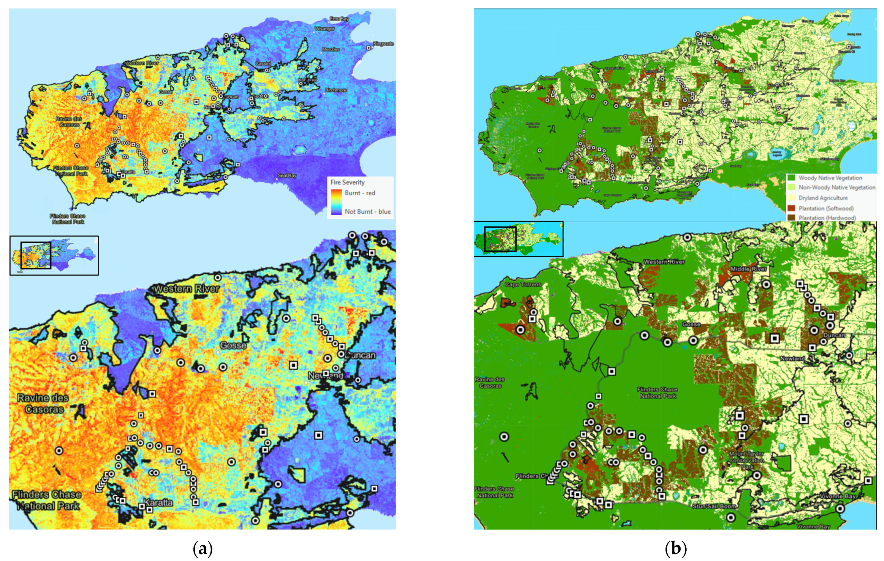 Animals 11 03237 g002