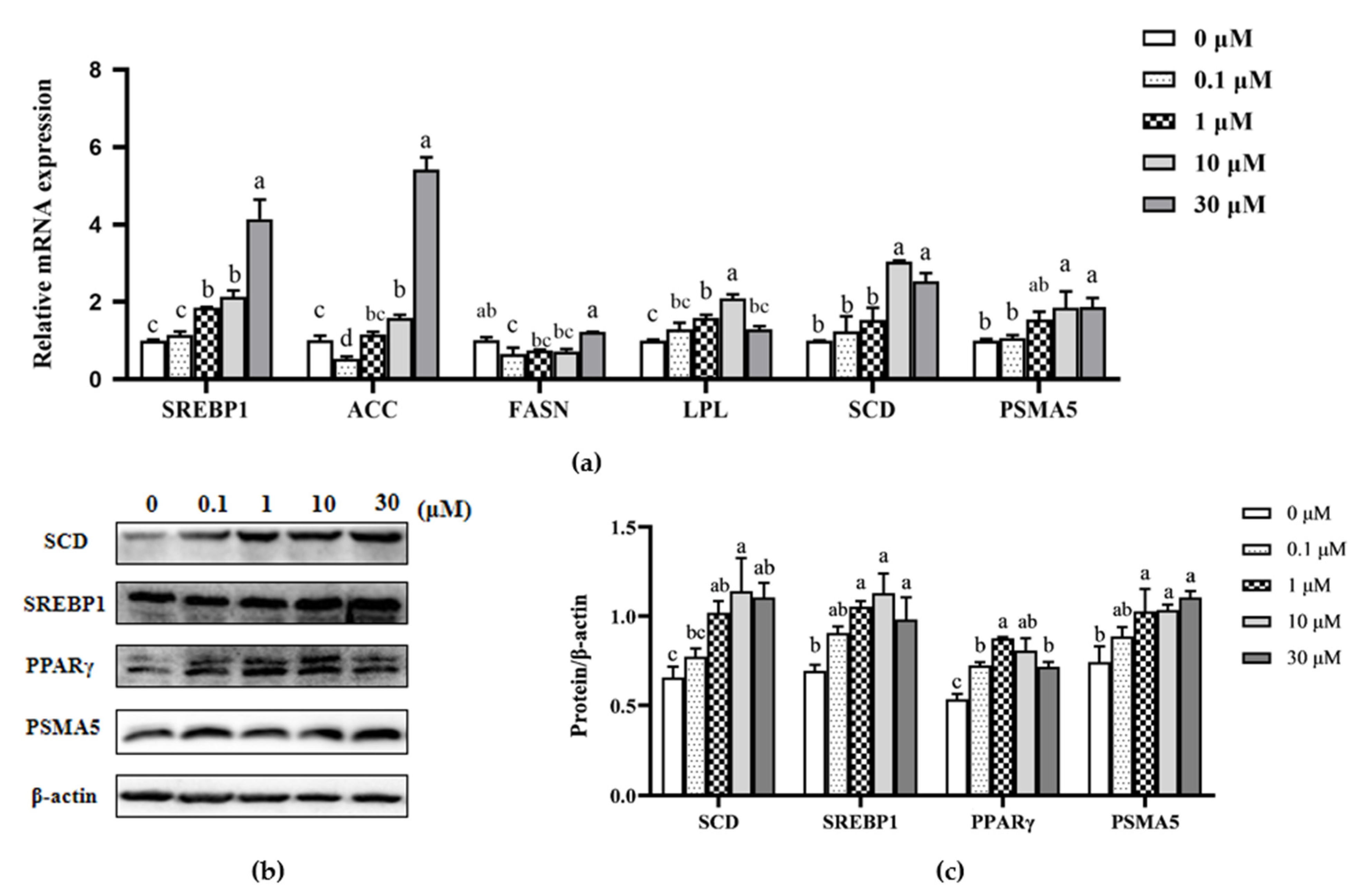 Animals 11 03238 g003