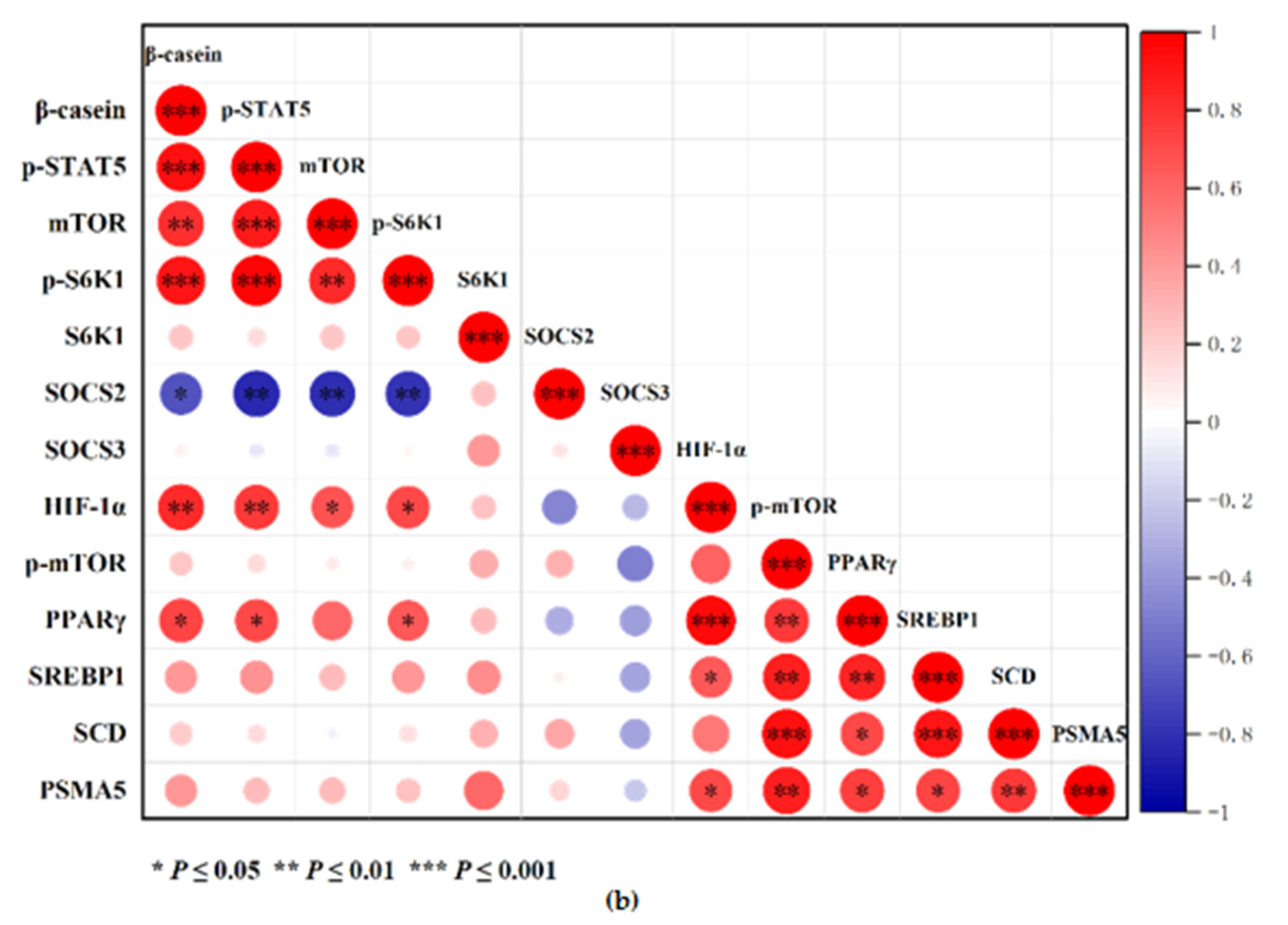 Animals 11 03238 g007b