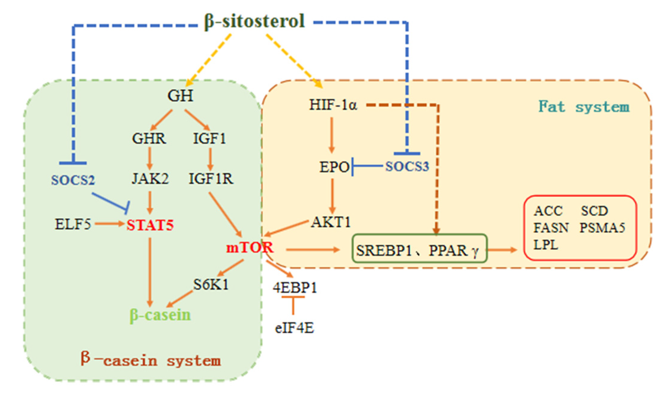 Animals 11 03238 g008