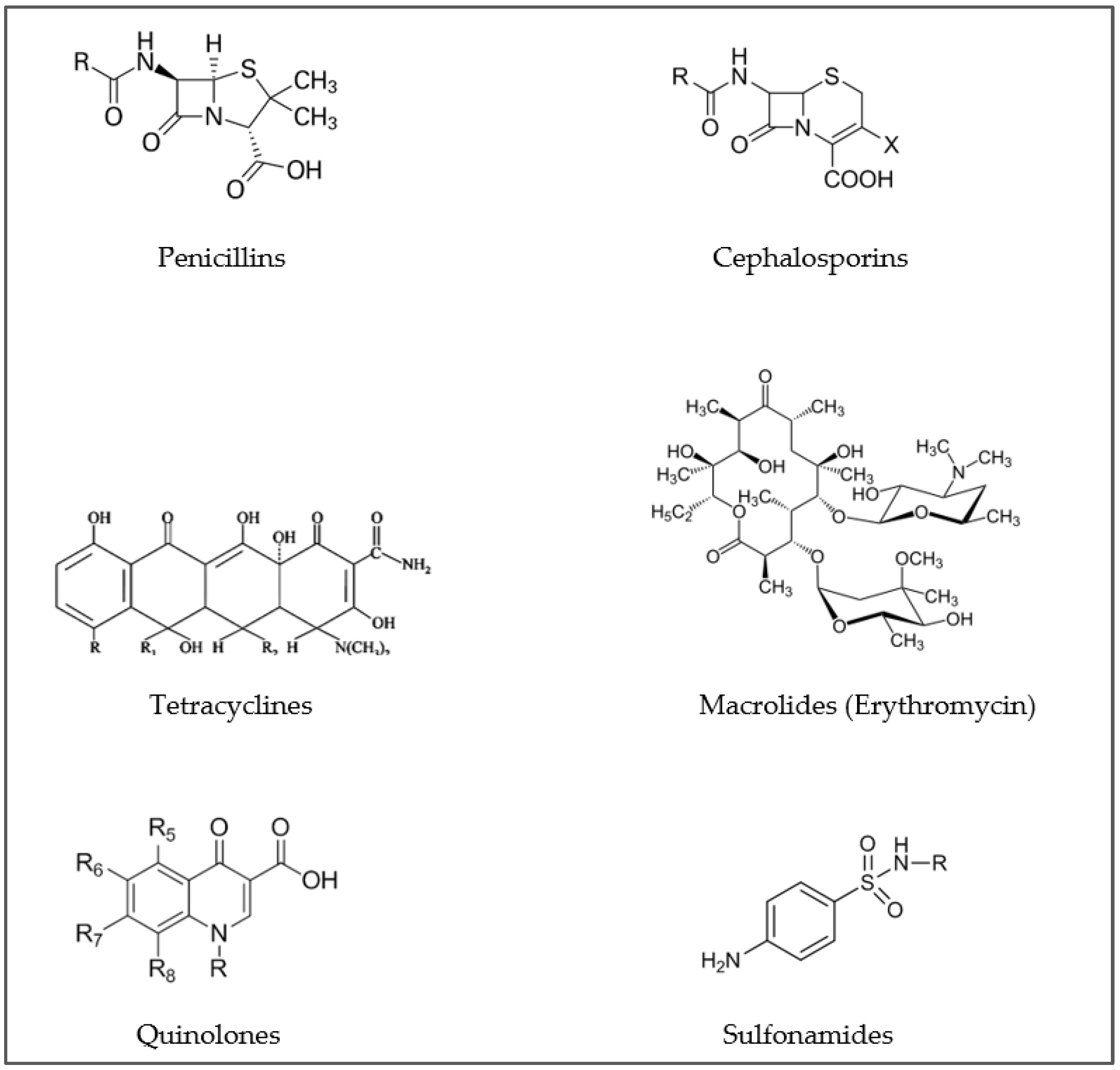 Animals 11 03239 g001
