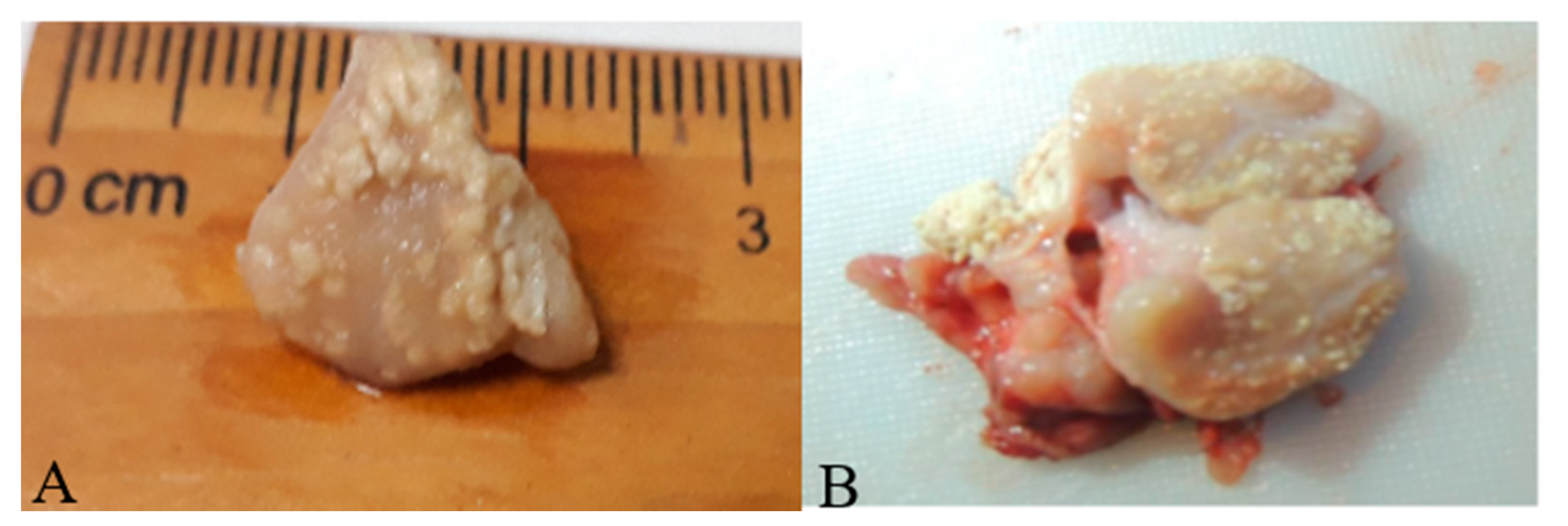 Animals 11 03252 g001