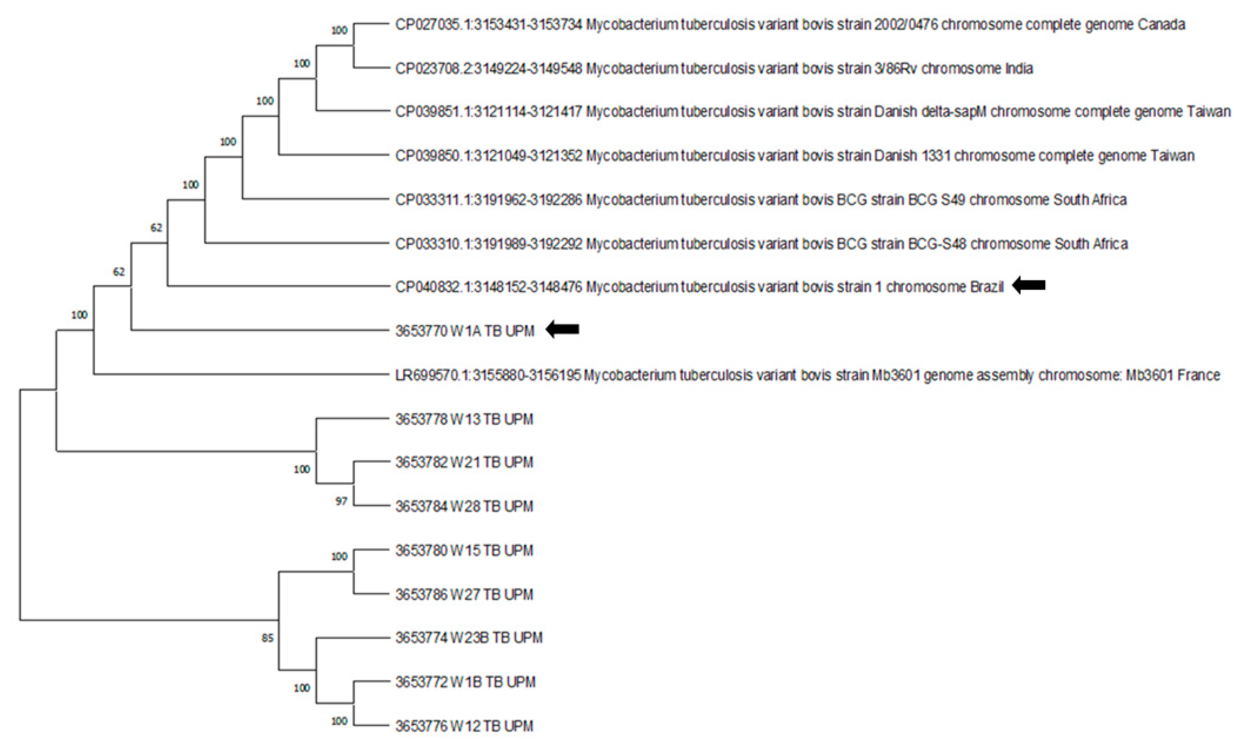Animals 11 03252 g003