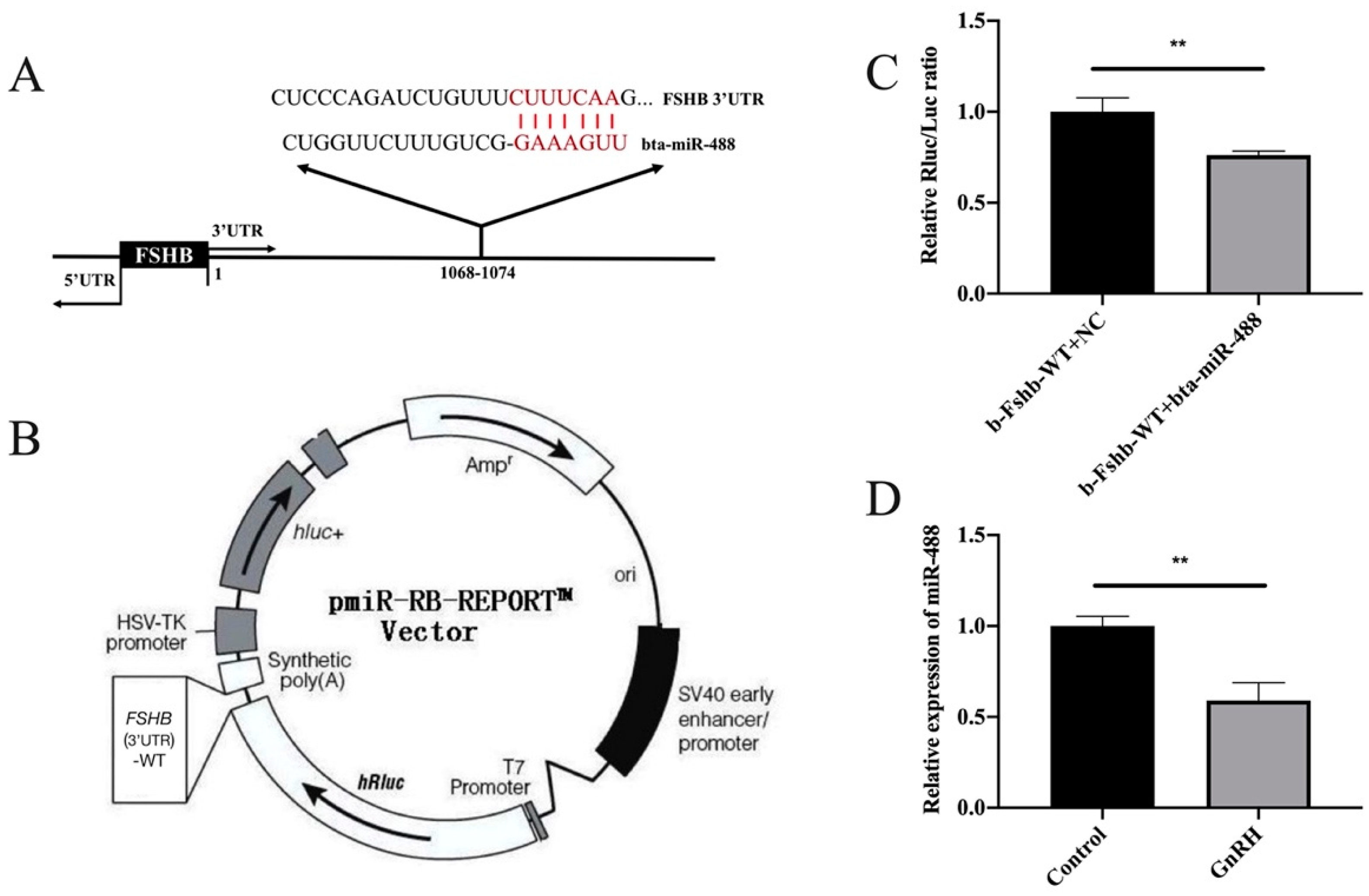 Animals 11 03262 g002
