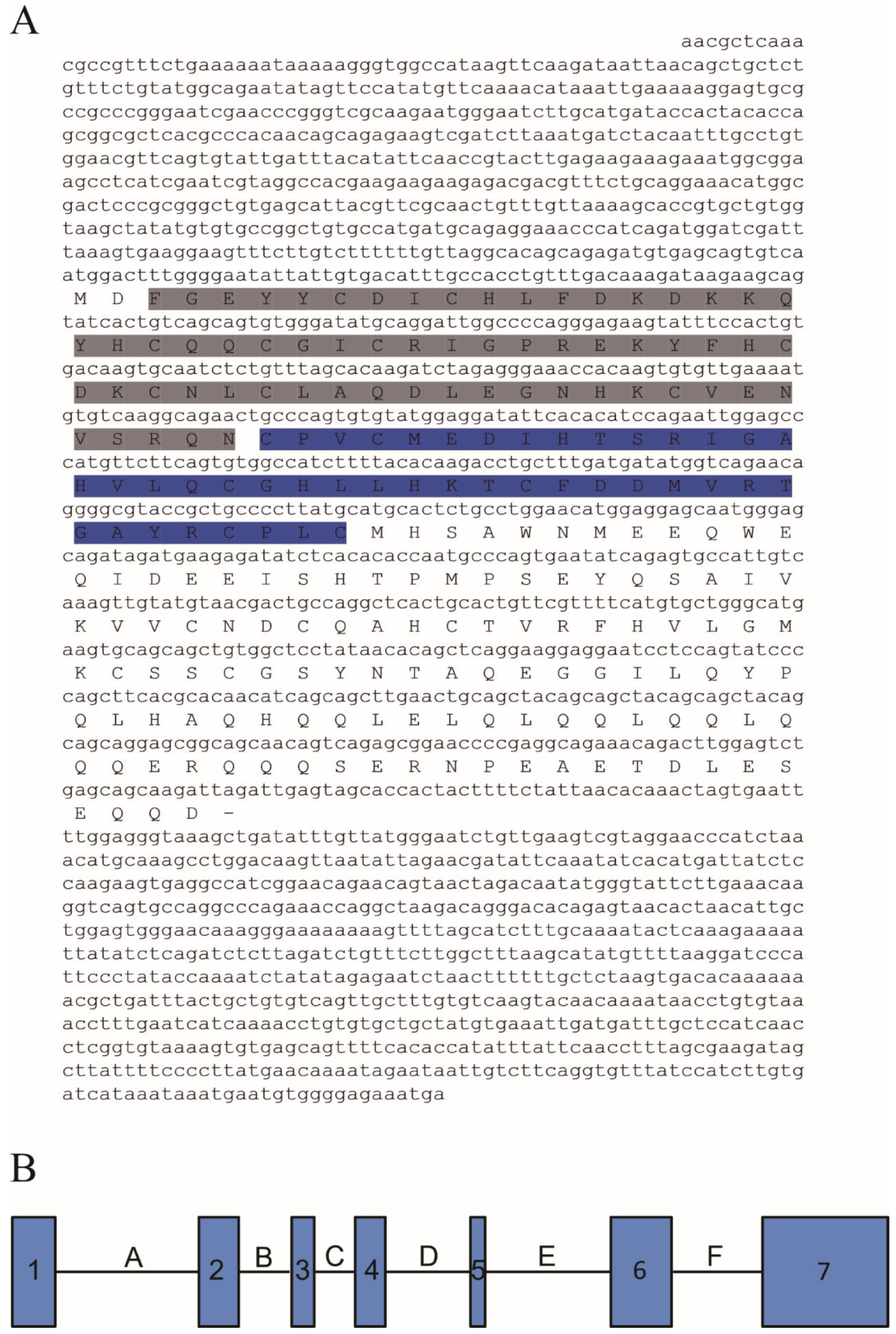 Animals 11 03265 g001