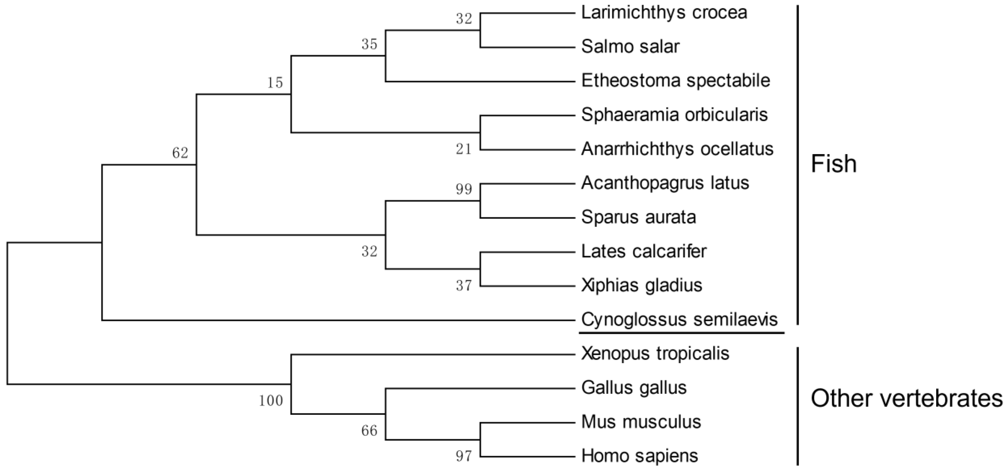 Animals 11 03265 g002