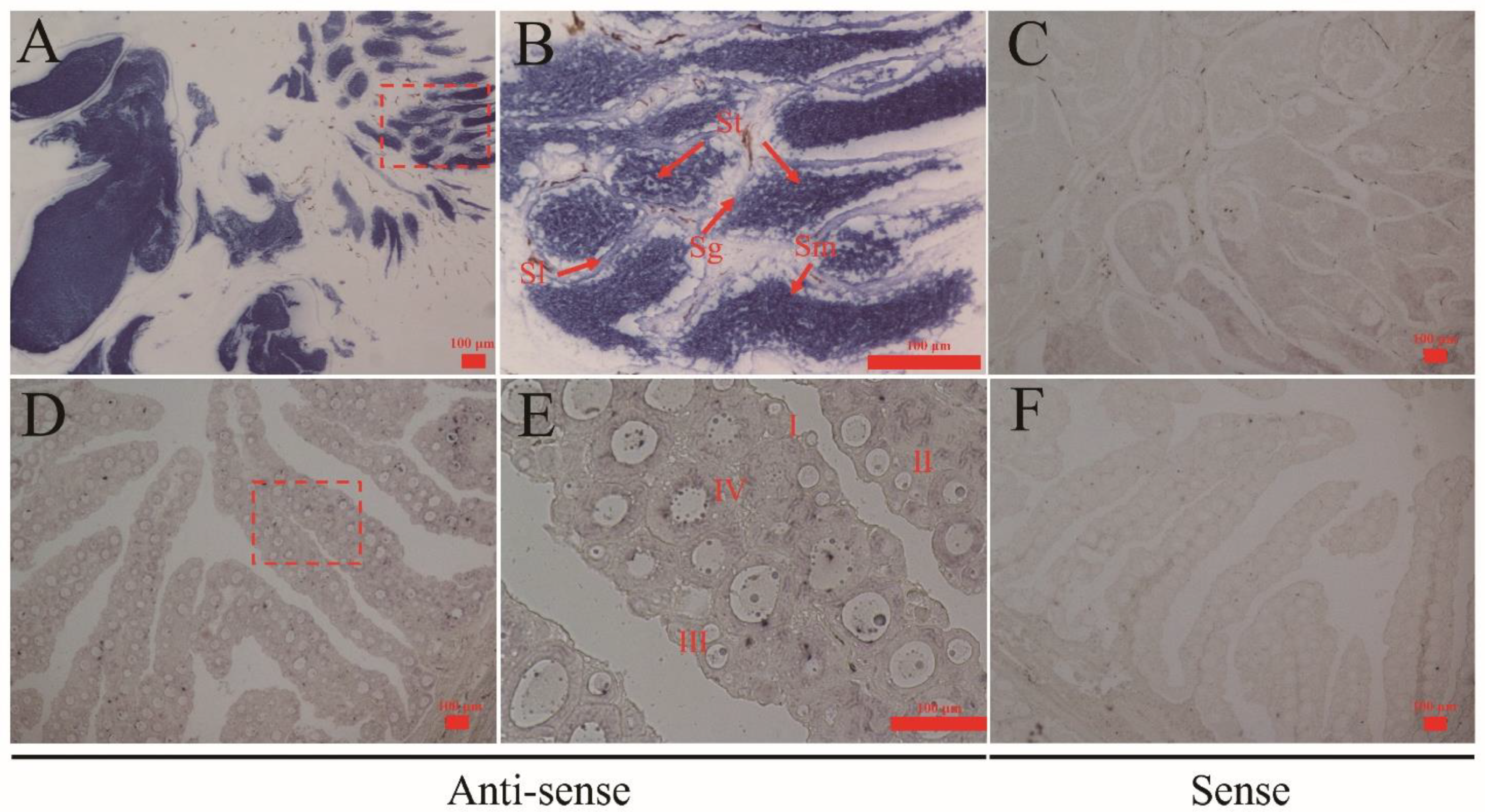 Animals 11 03265 g004