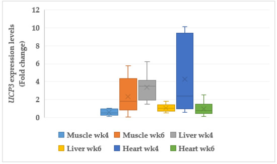 Animals Free Full Text Telomere Length Apoptotic And Inflammatory Genes Novel Biomarkers Of Gastrointestinal Tract Pathology And Meat Quality Traits In Chickens Under Chronic Stress Gallus Gallus Domesticus Html