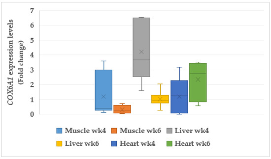 Animals Free Full Text Telomere Length Apoptotic And Inflammatory Genes Novel Biomarkers Of Gastrointestinal Tract Pathology And Meat Quality Traits In Chickens Under Chronic Stress Gallus Gallus Domesticus Html