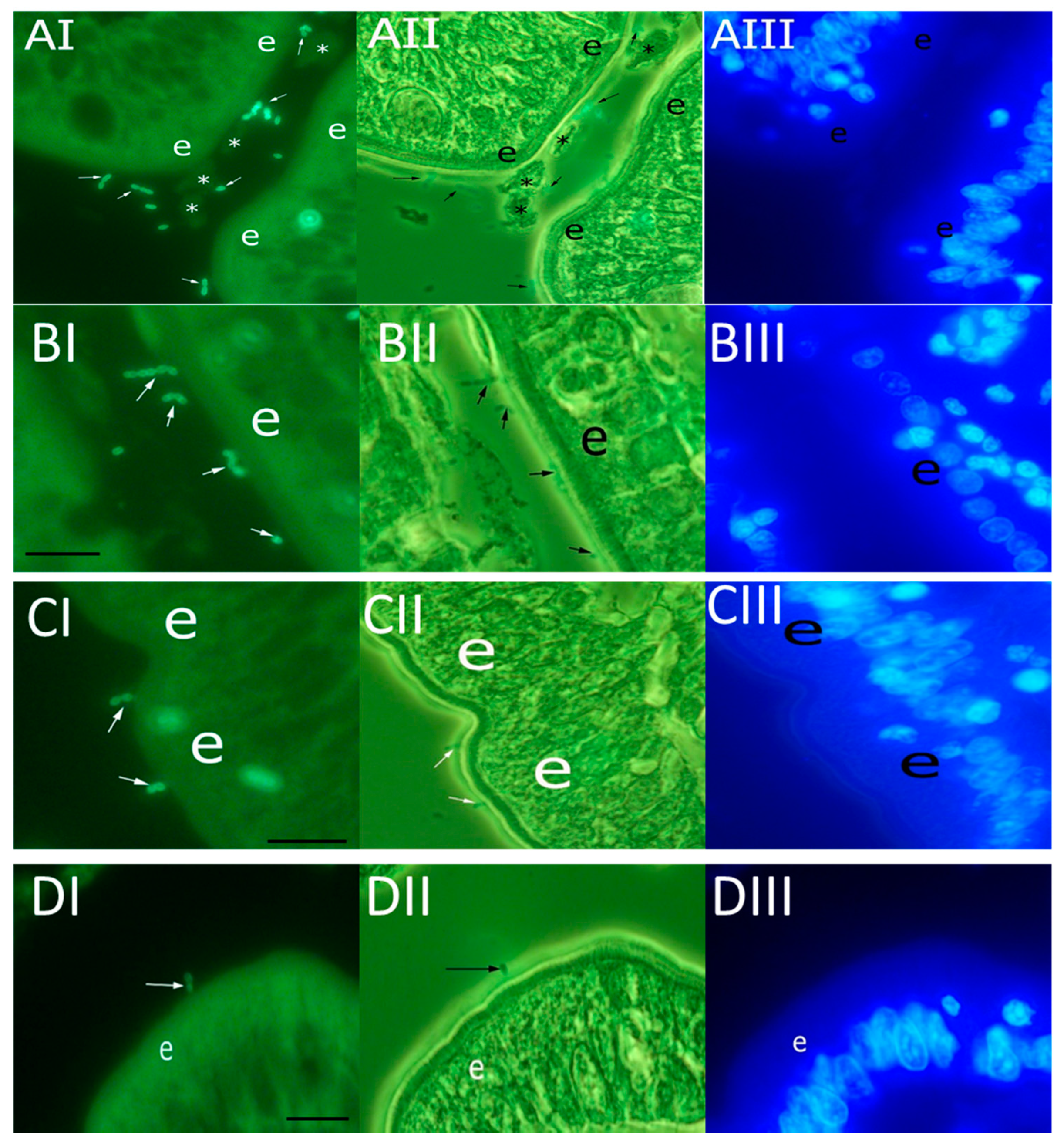 Animals 11 03283 g001 Animals 11 03283 g001