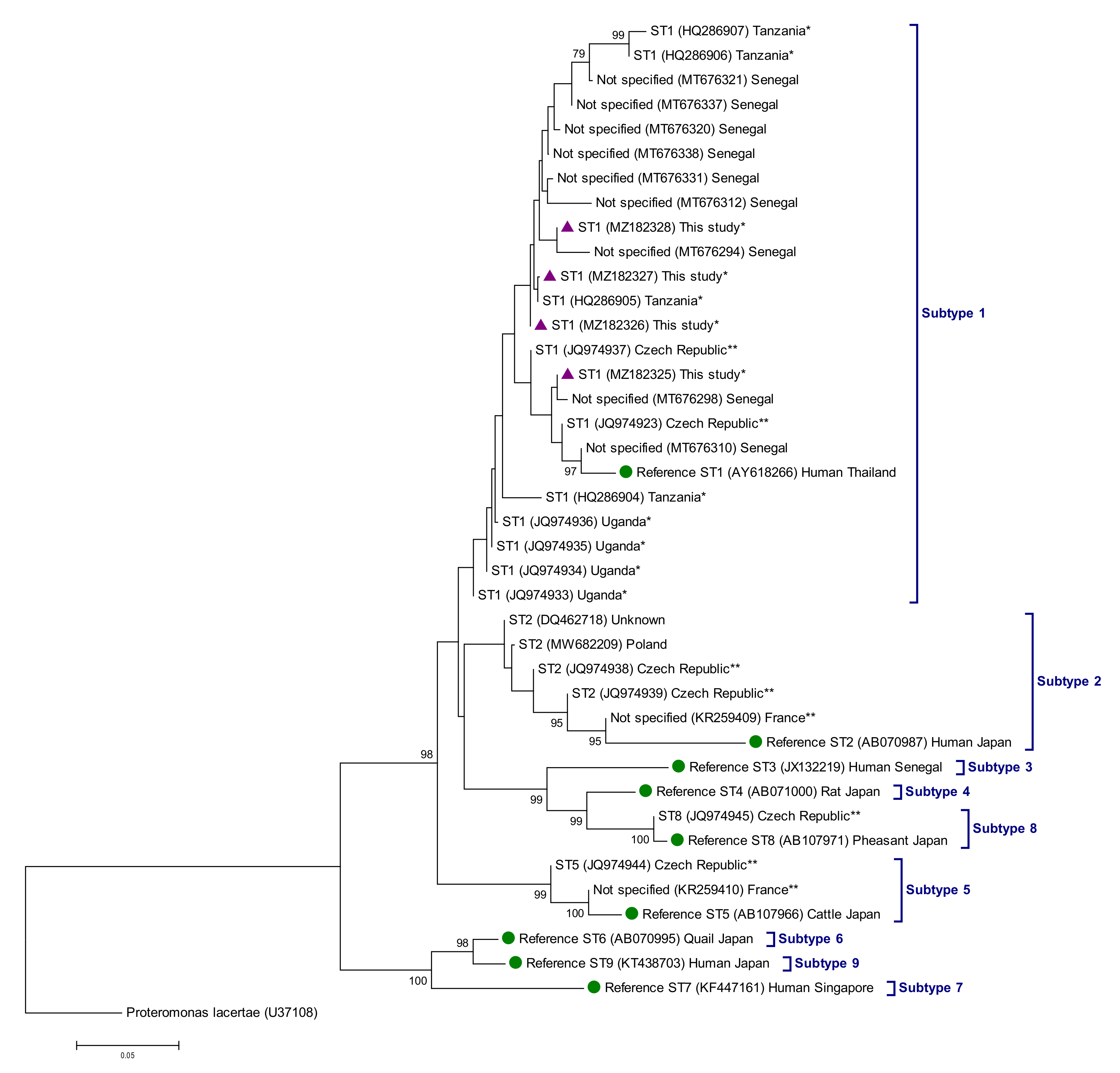 Molecular Detection and Characterization of Intestinal and Blood 