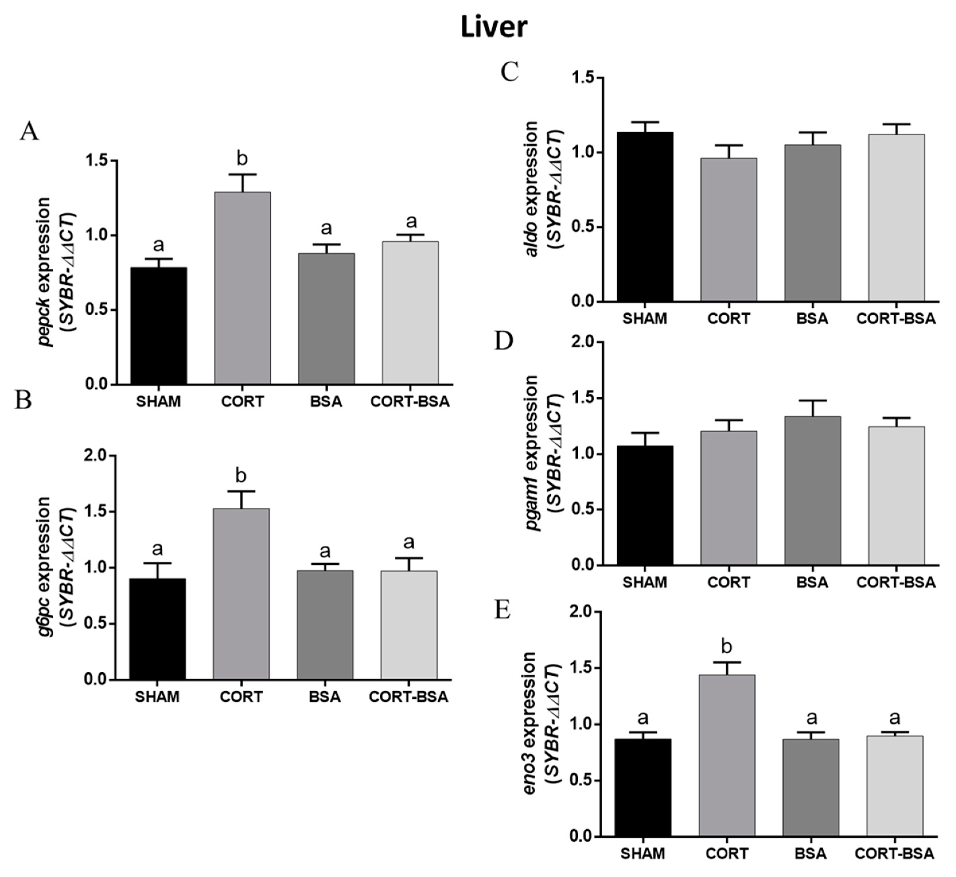 Animals 11 03310 g004