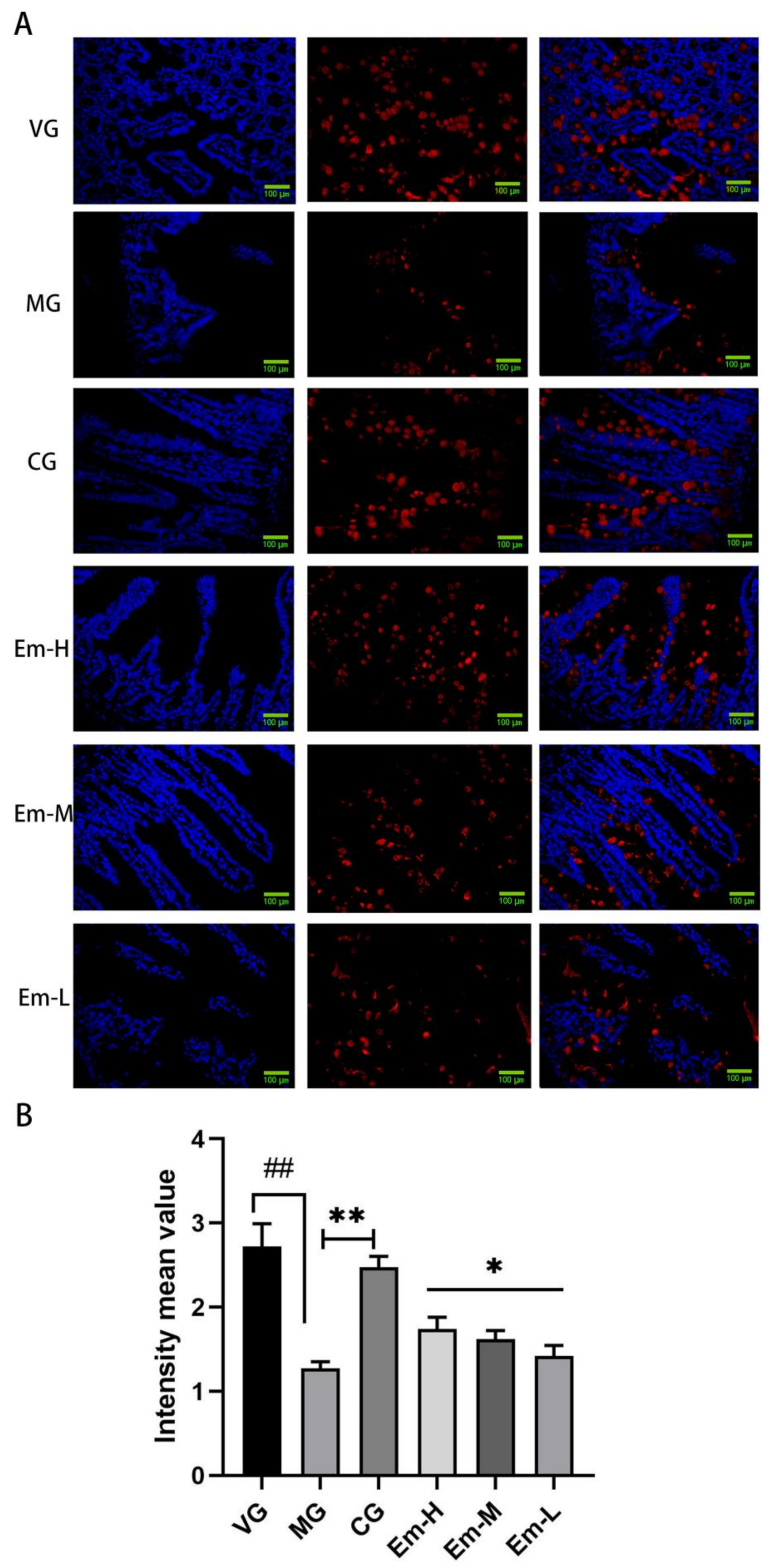Animals 11 03314 g005 550