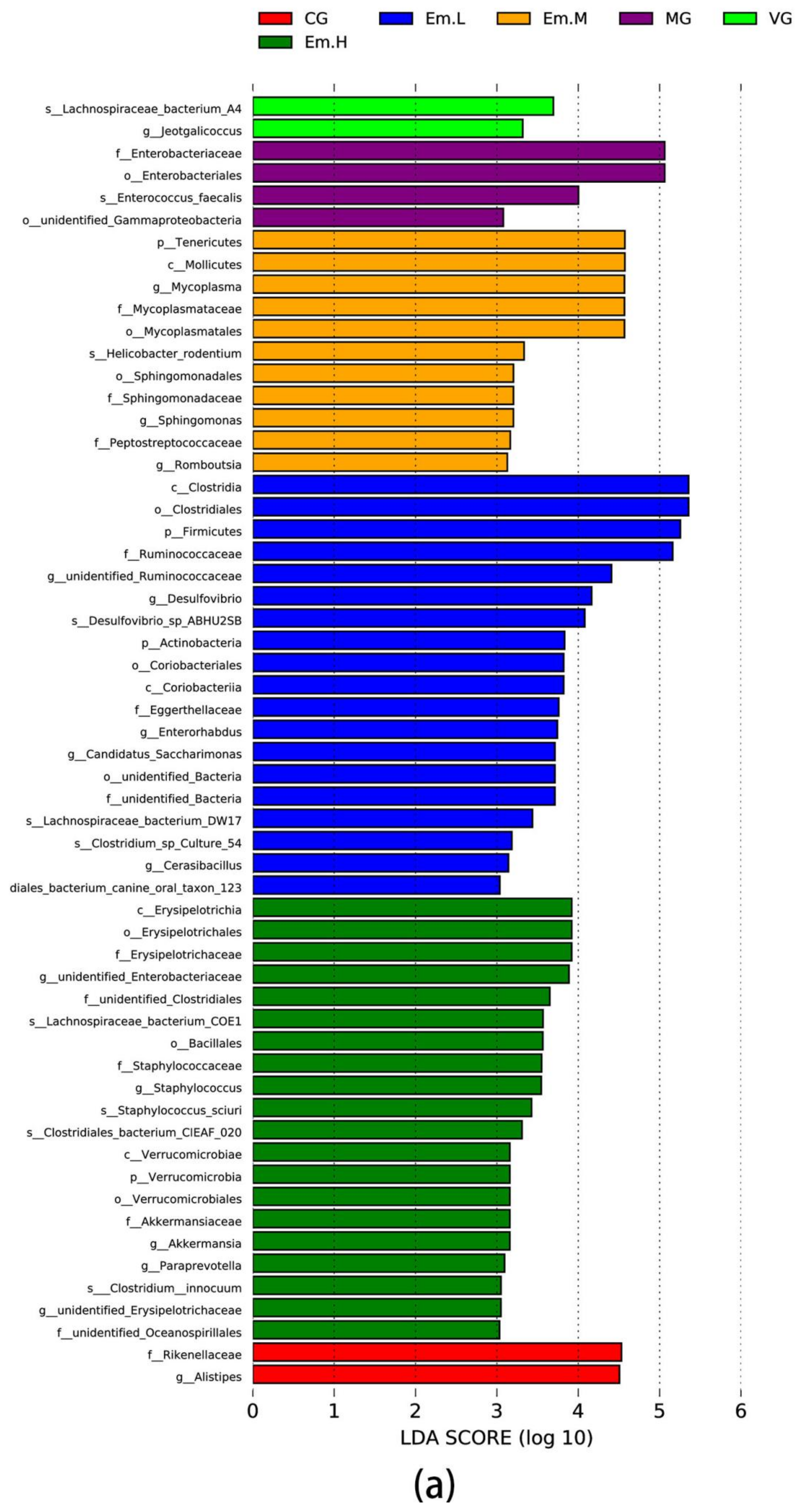 Animals 11 03314 g007a 550
