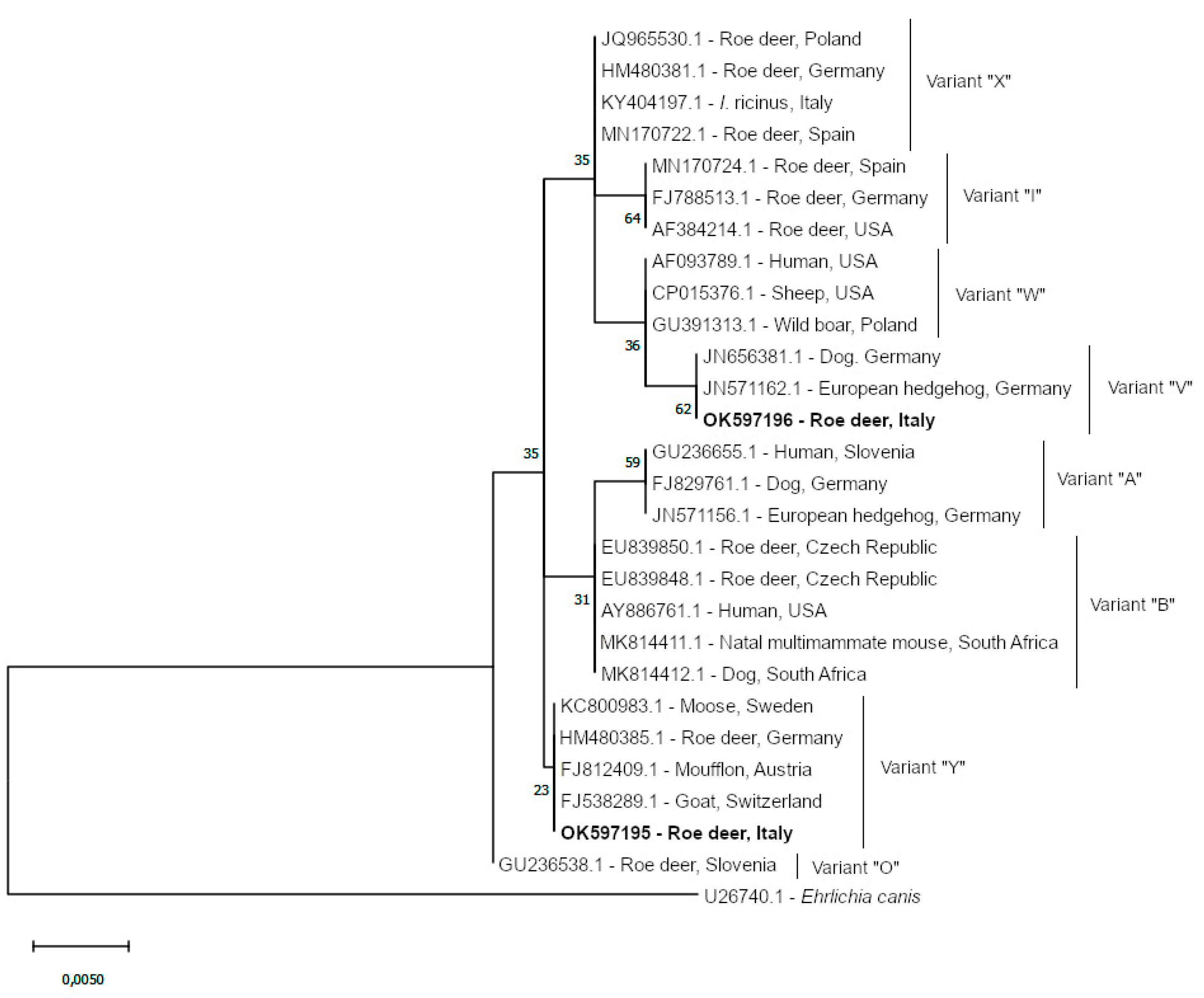 Animals 11 03335 g001 550